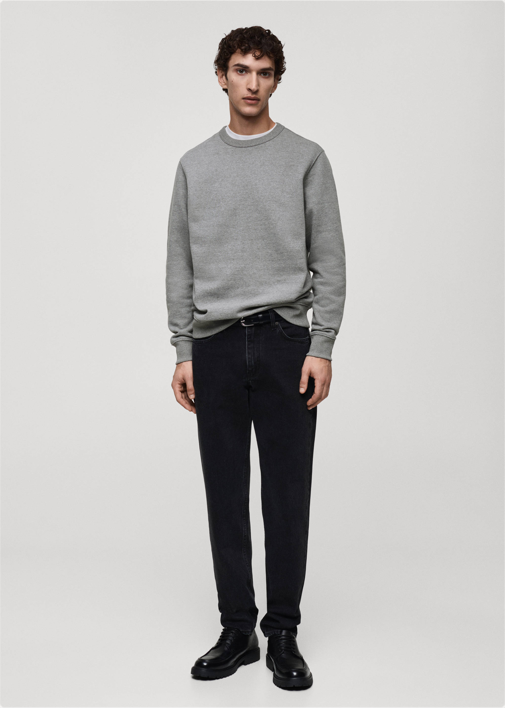 Regular-fit cotton sweatshirt - General plane, Medium Heather Grey. Ref: 87010620-00.