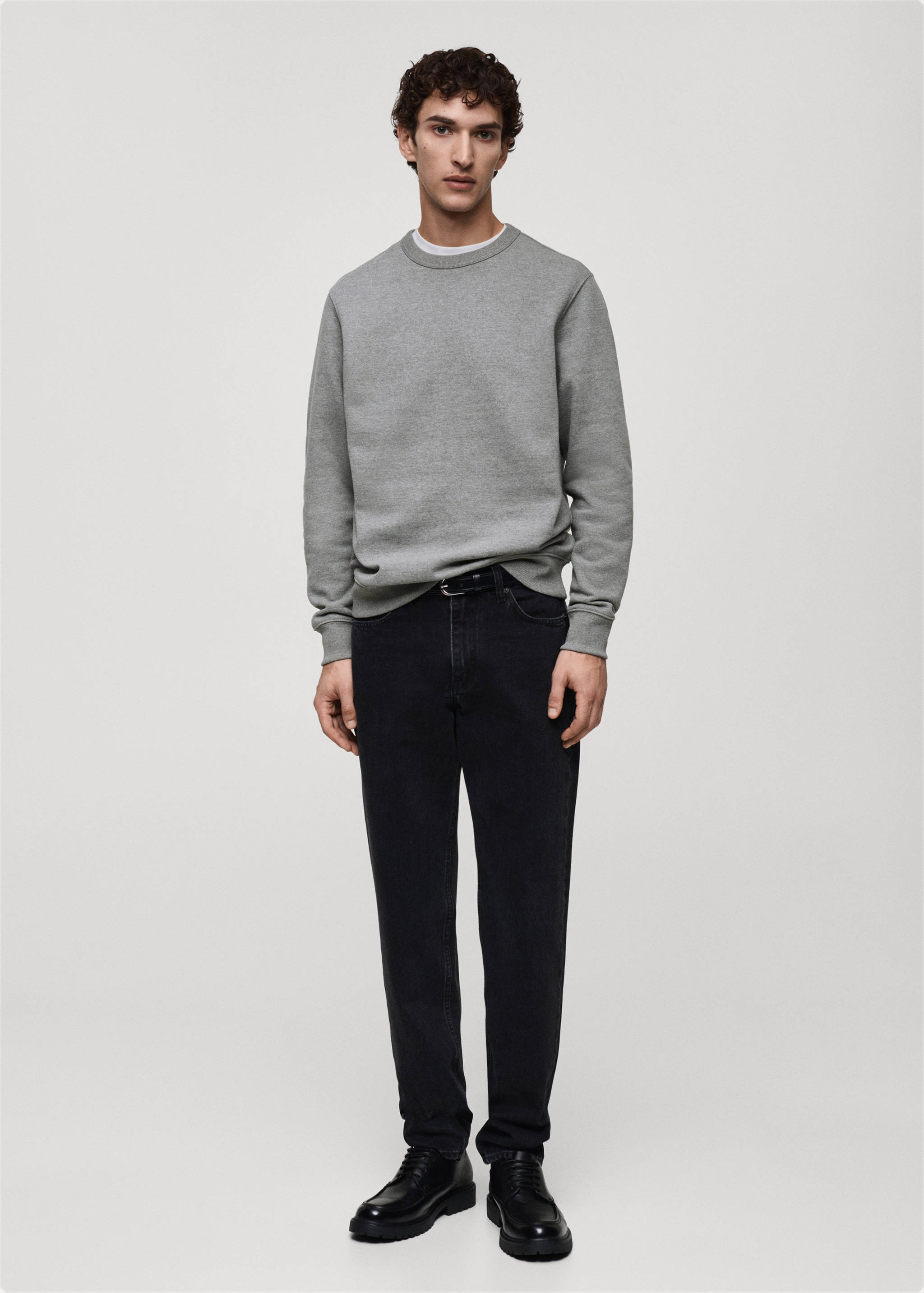 Sudadera algodón regular fit - Plano general