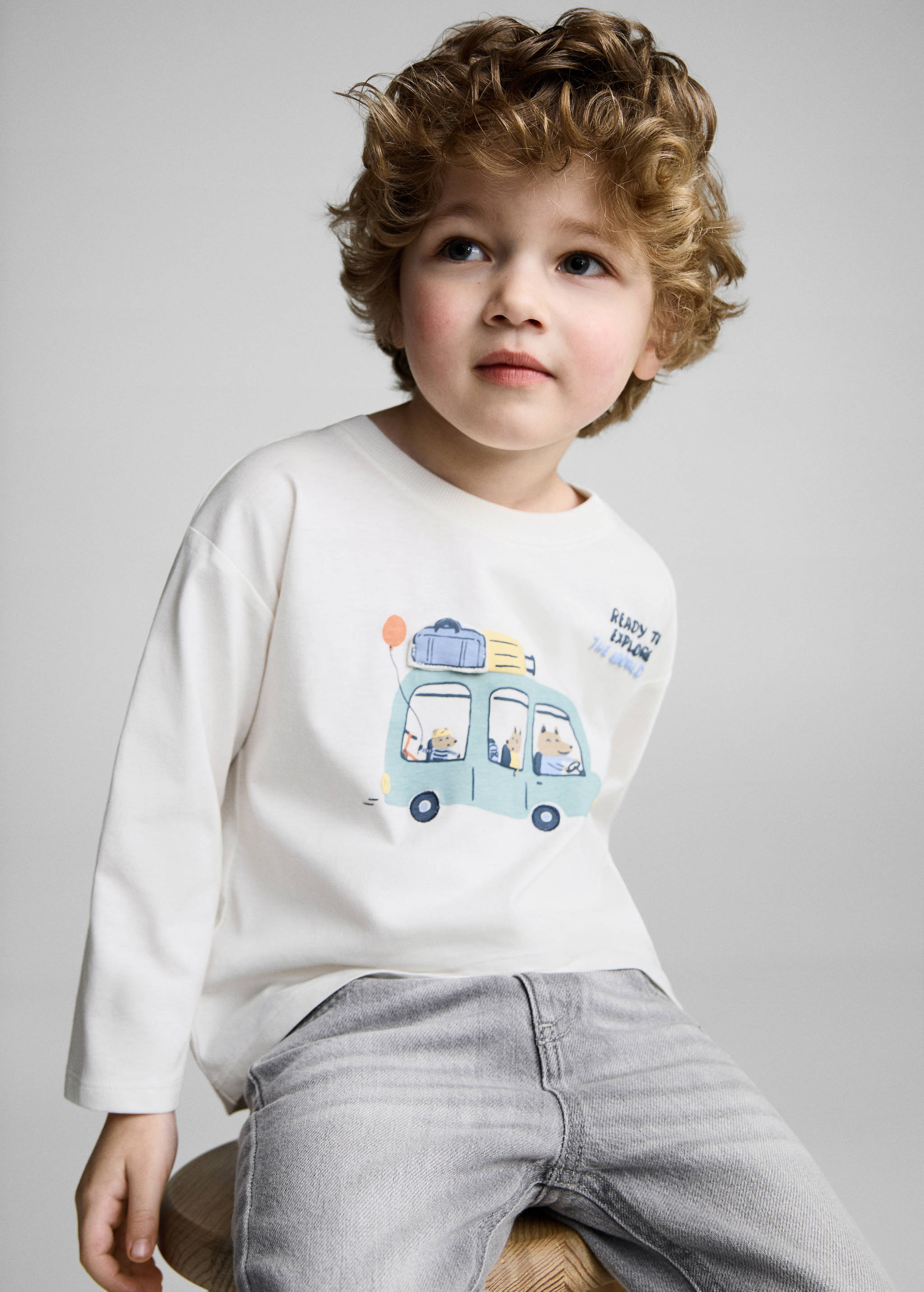 Cotton printed T-shirt - Medium plane