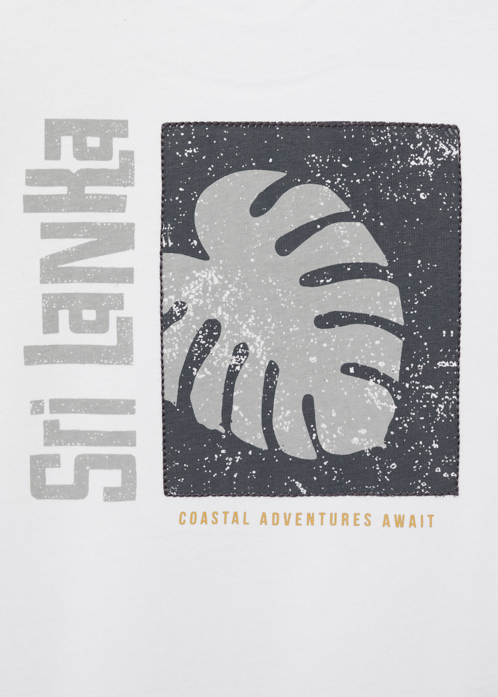 Samarreta cotó estampada - Detall de l'article 0