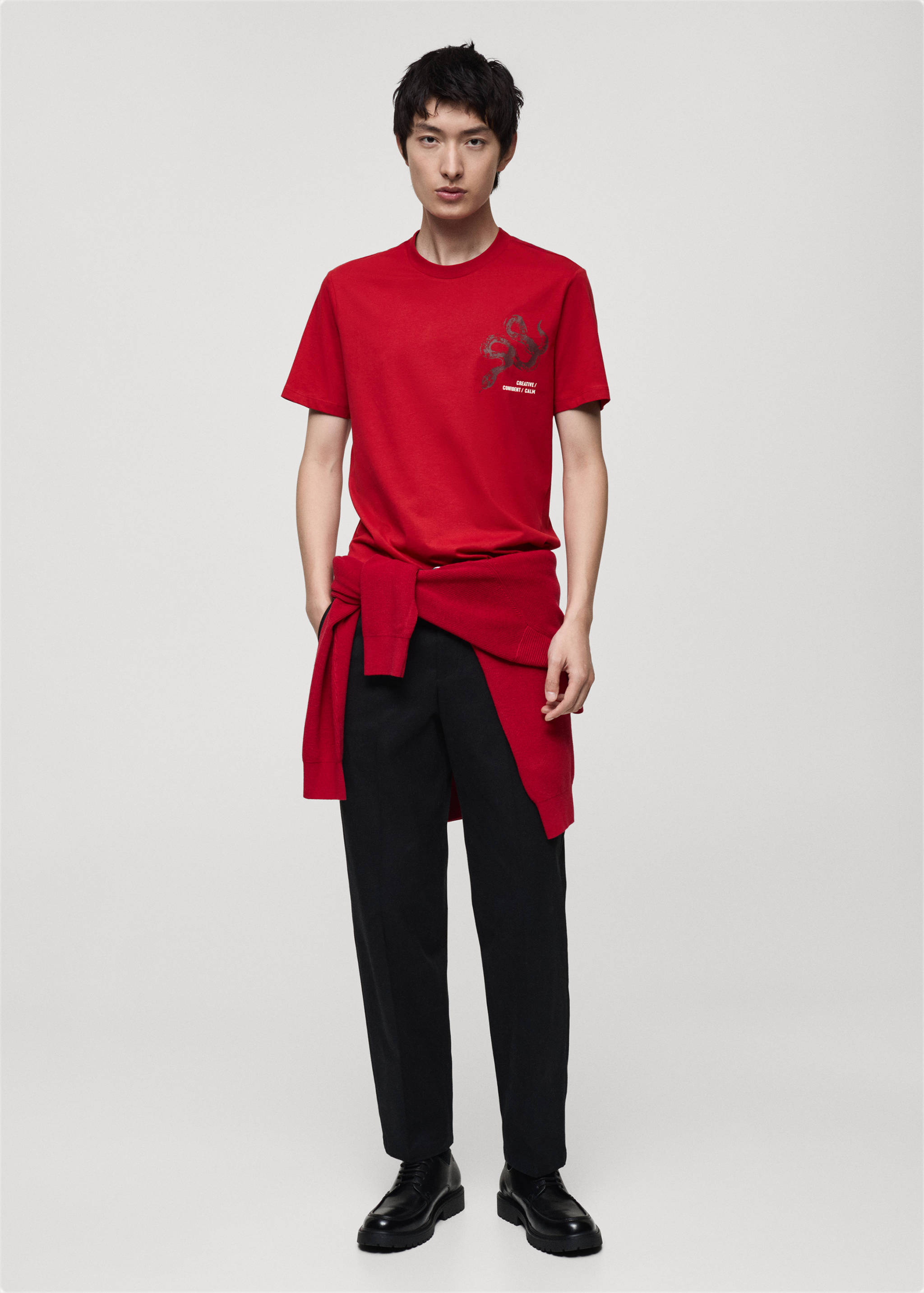 100% cotton slim-fit t-shirt with combined print - General plane