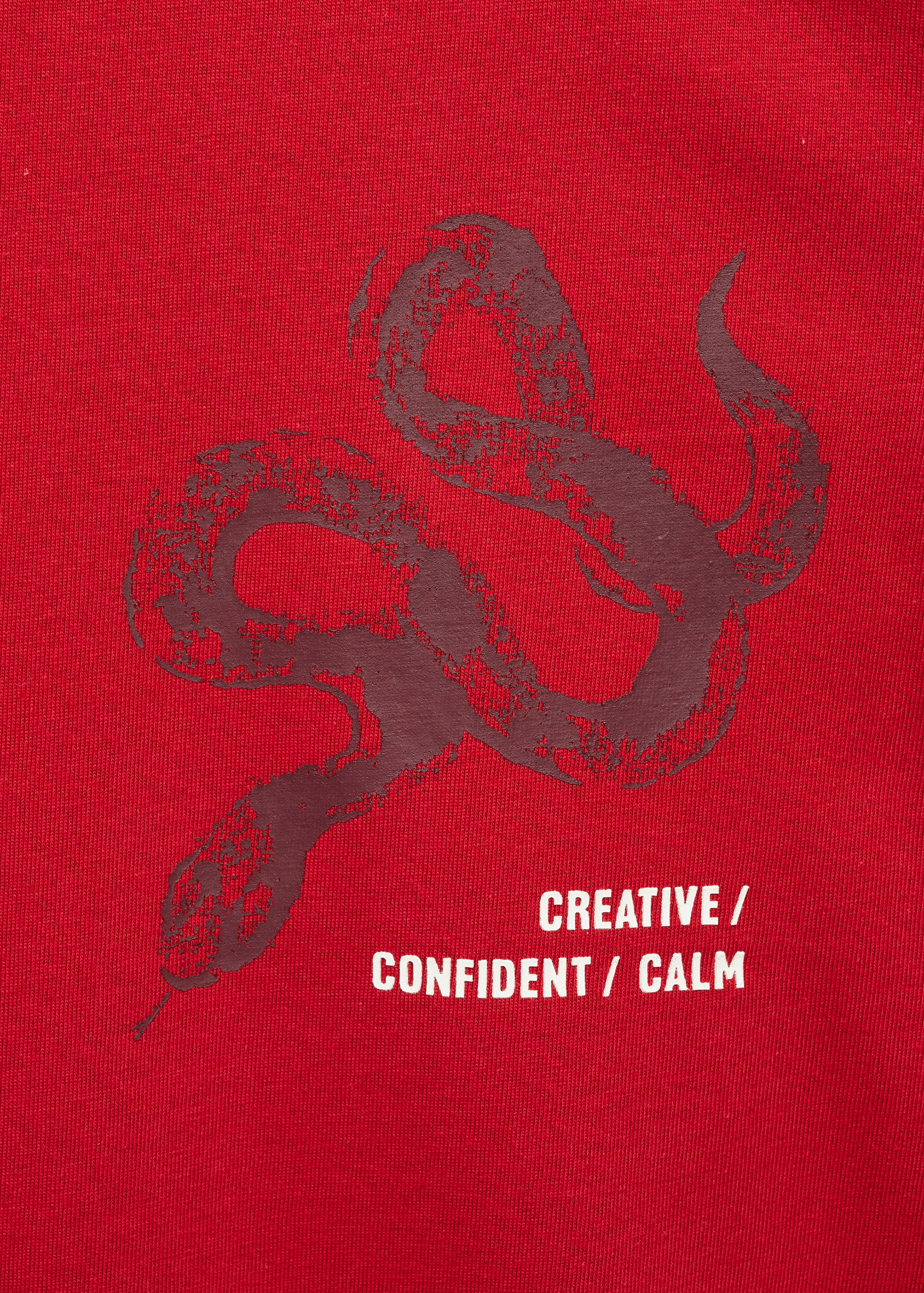 100% cotton slim-fit t-shirt with combined print - Details of the article 0