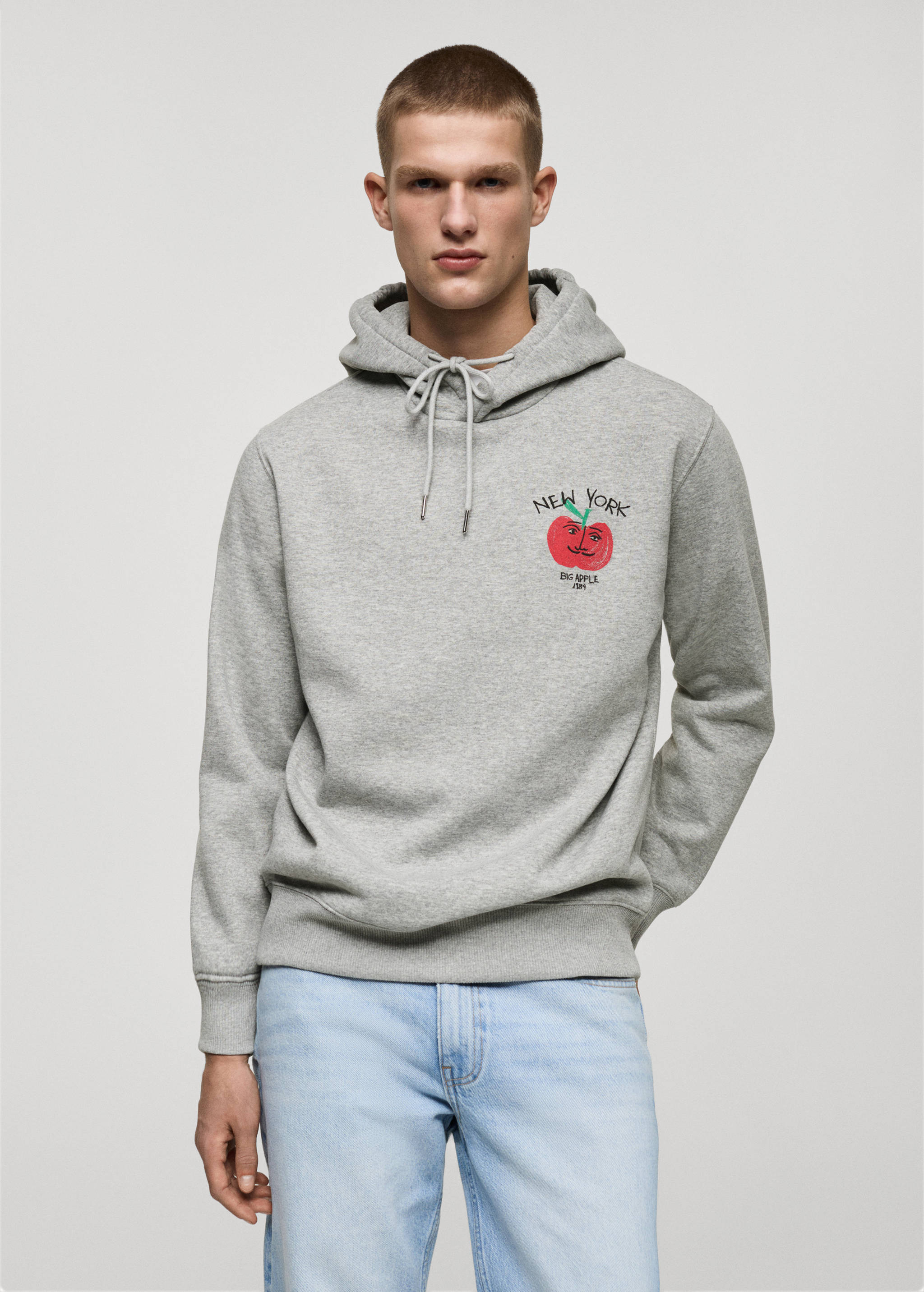 Graphic hooded sweatshirt - Medium plane