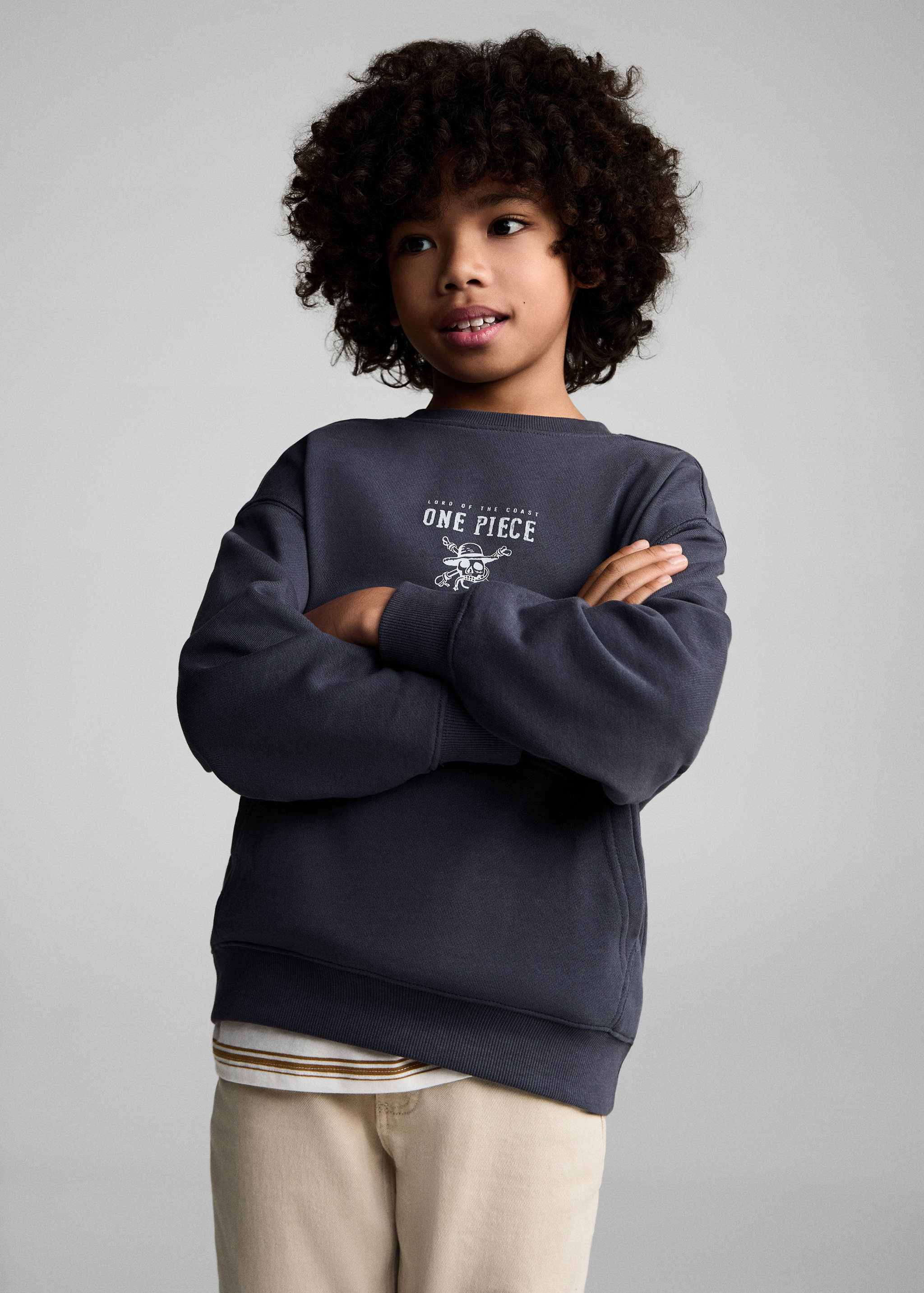 ONEPIECE sweatshirt - Medium plane