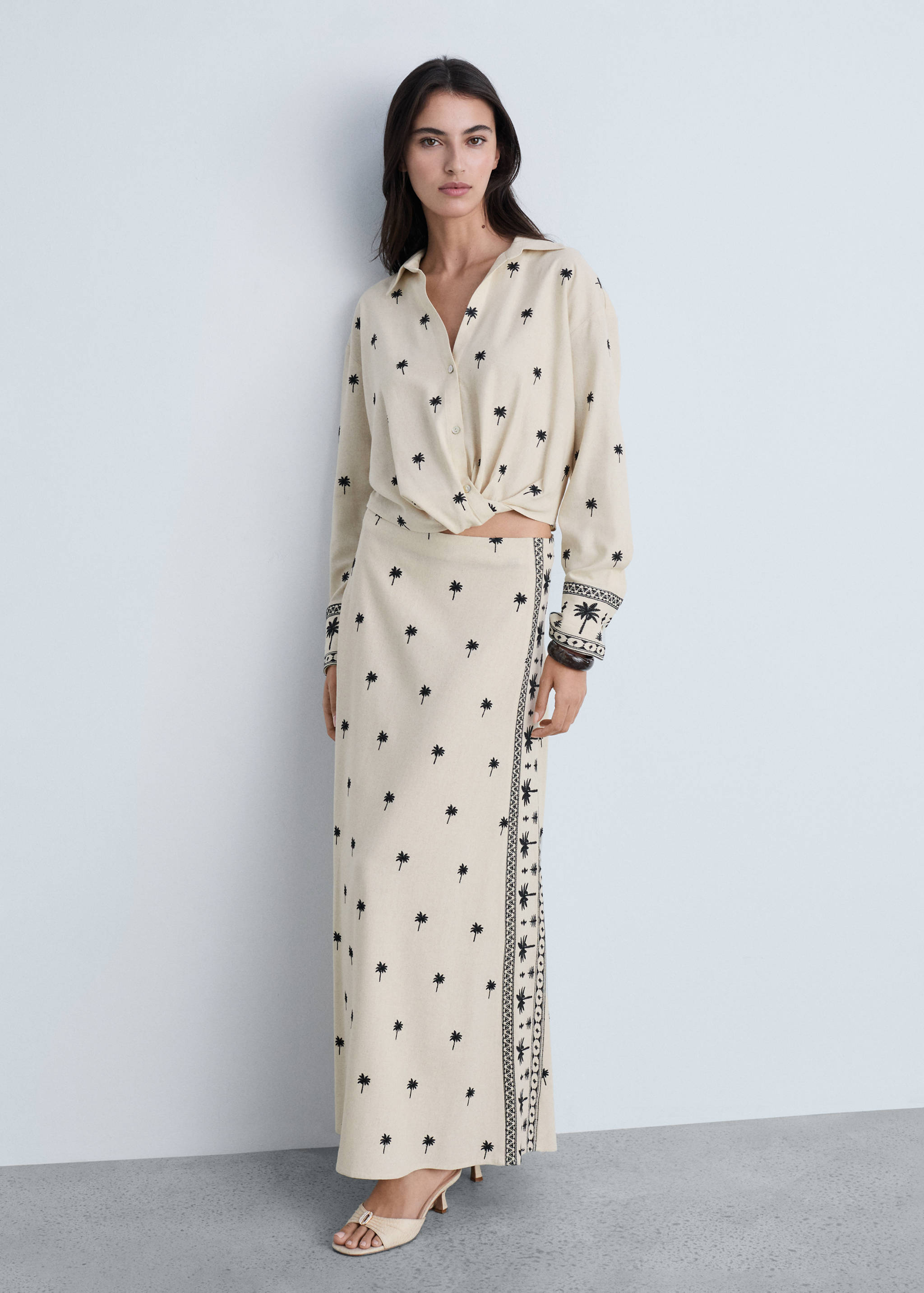 Embroidered flared skirt - General plane