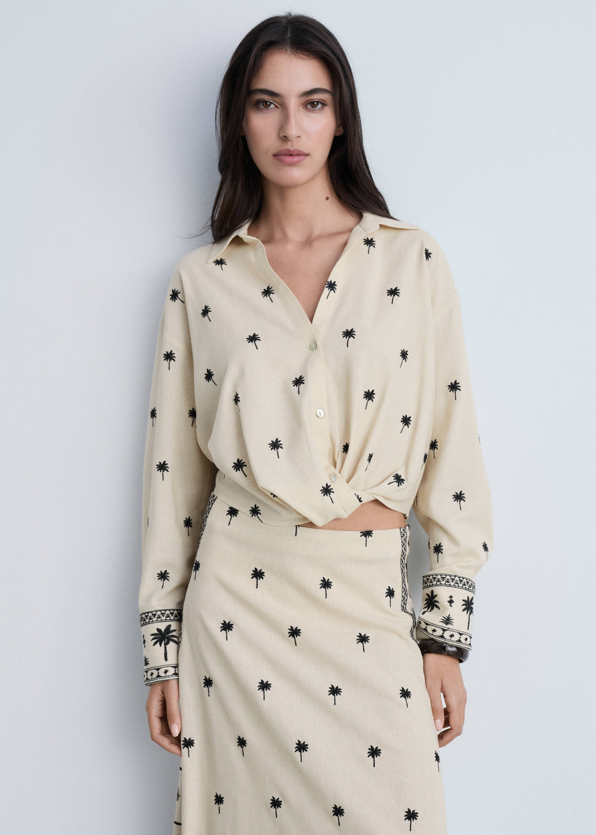 Embroidered flared skirt - Medium plane