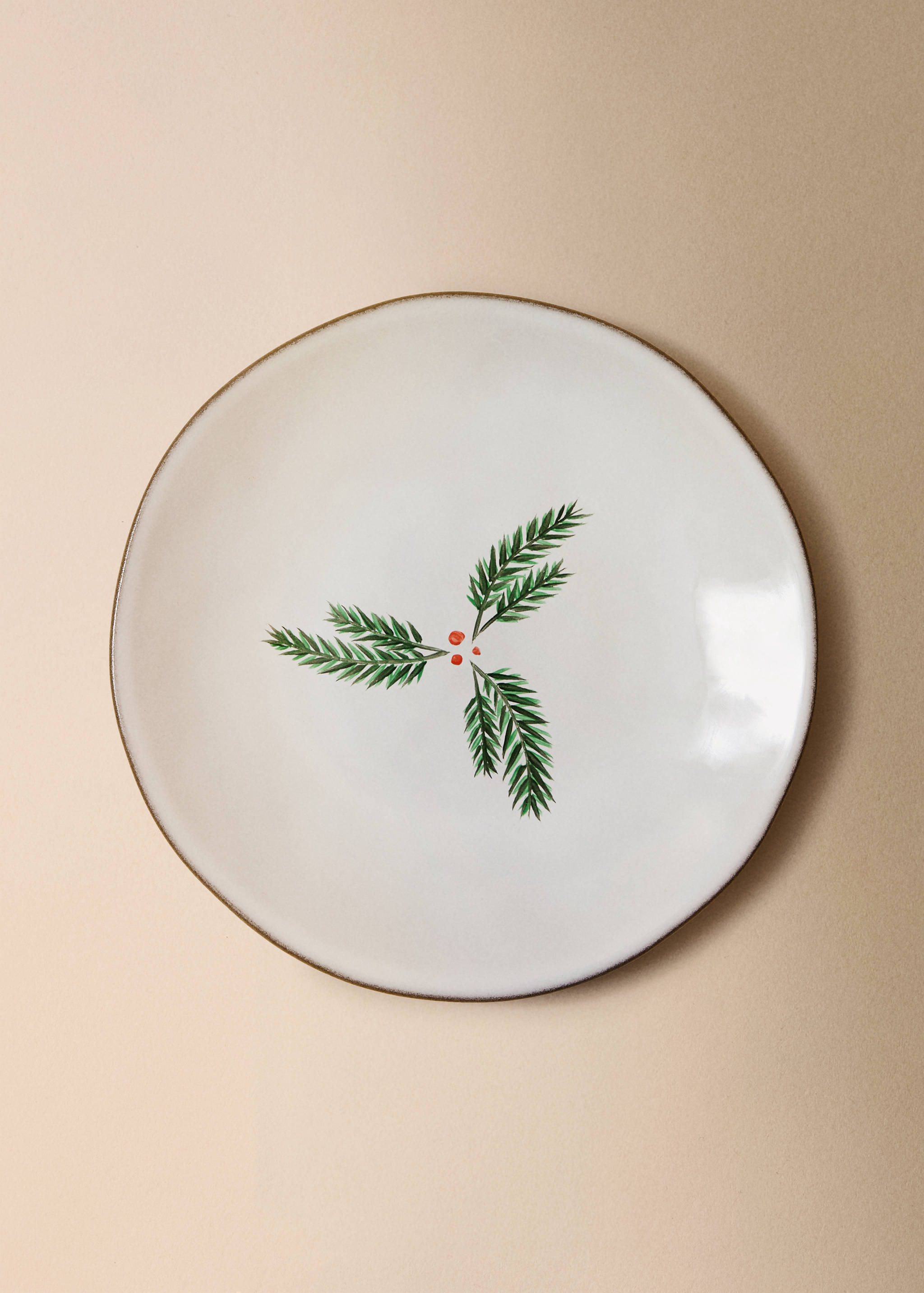 Flat stoneware plate with contrasting rim - General plane