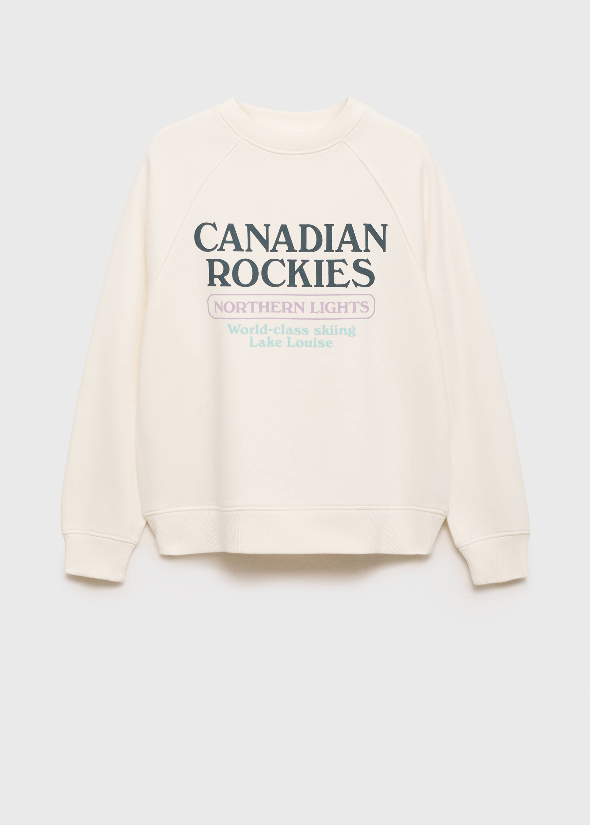 Yazılı ve desenli sweatshirt - Modelsiz ürün