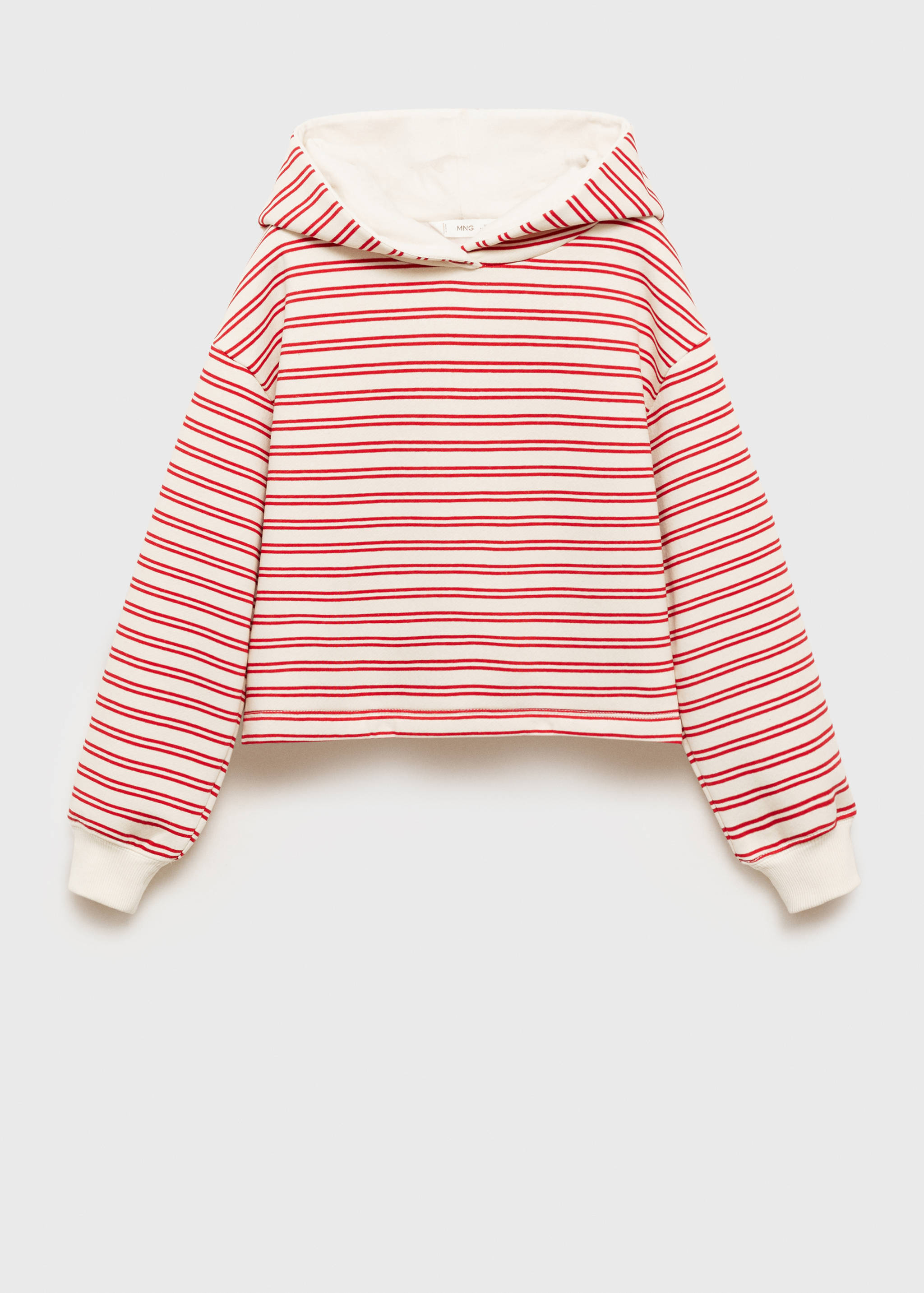 Striped hooded sweatshirt - Article without model