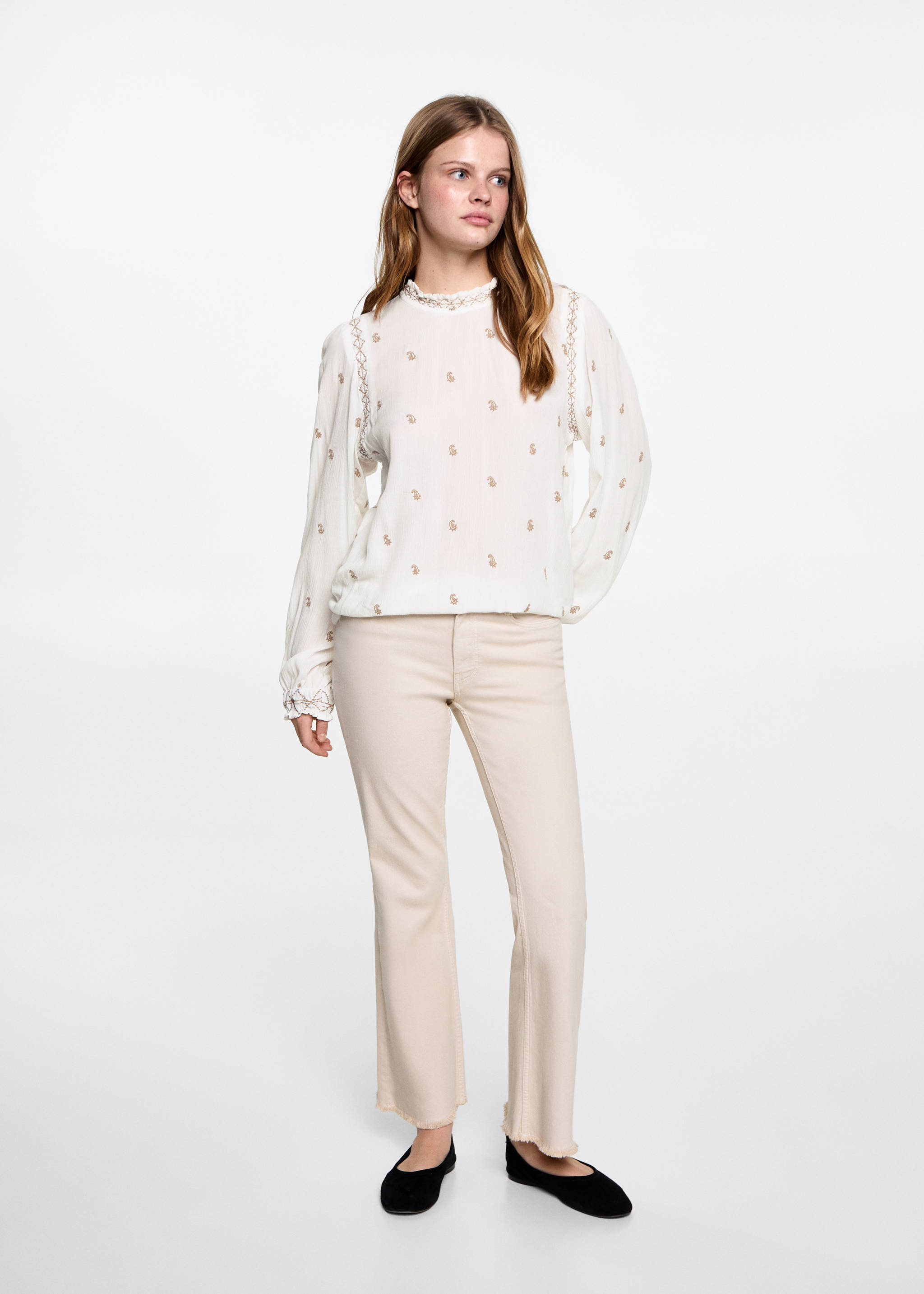 Embroidered blouse - General plane