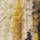 Couleur Jaune sélectionnée