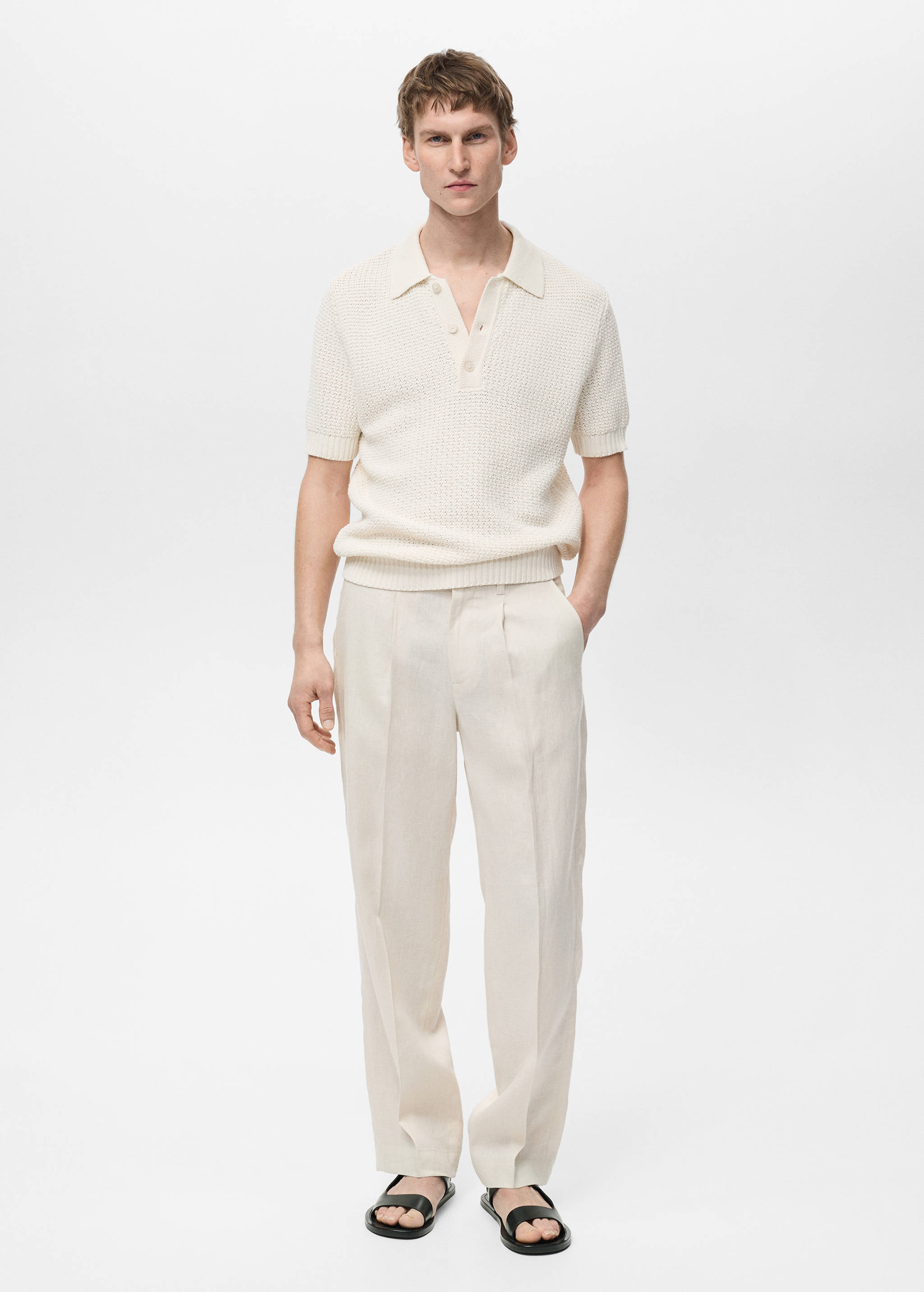 100% linen pleated trousers - General plane