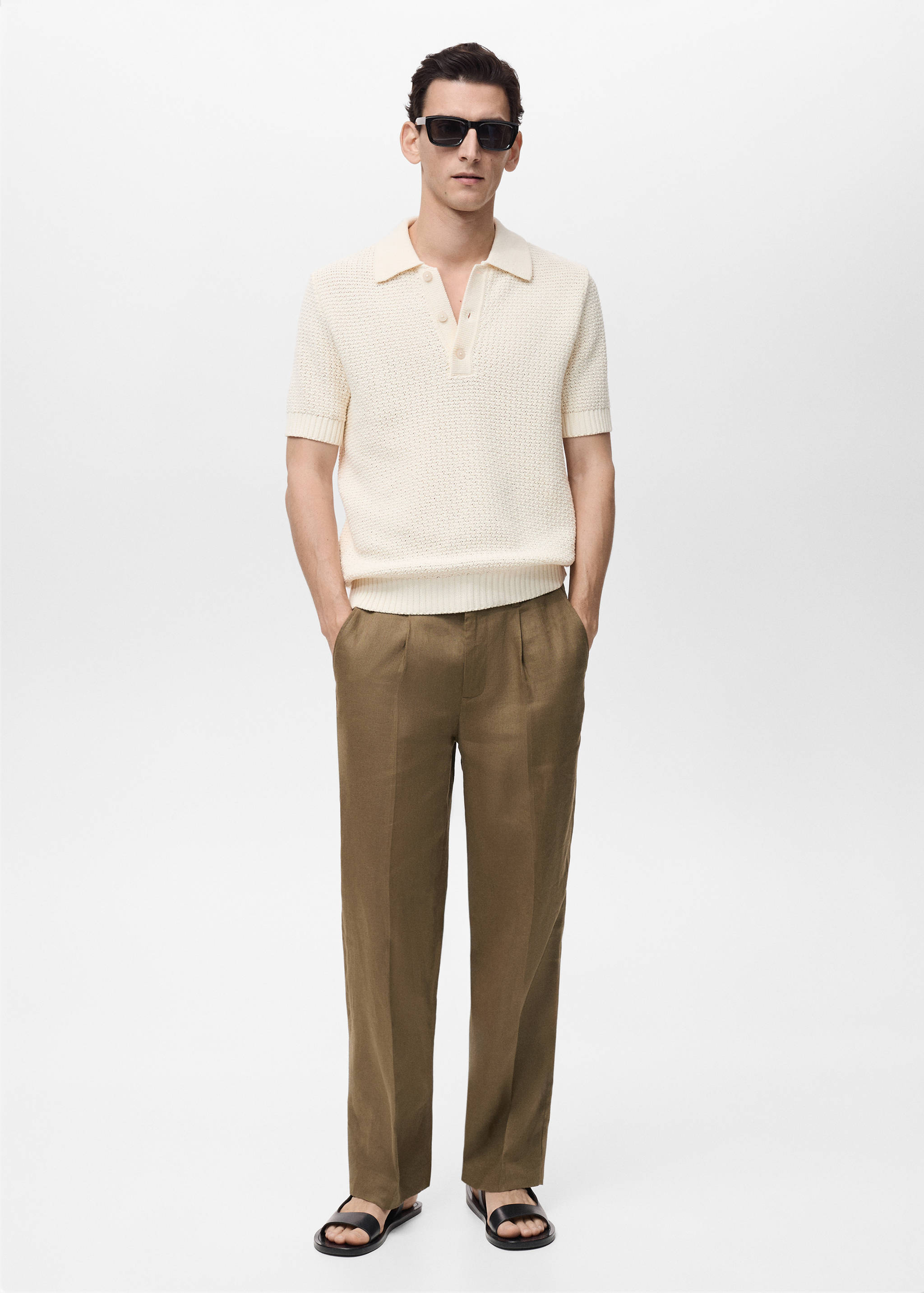 100% linen pleated trousers - General plane