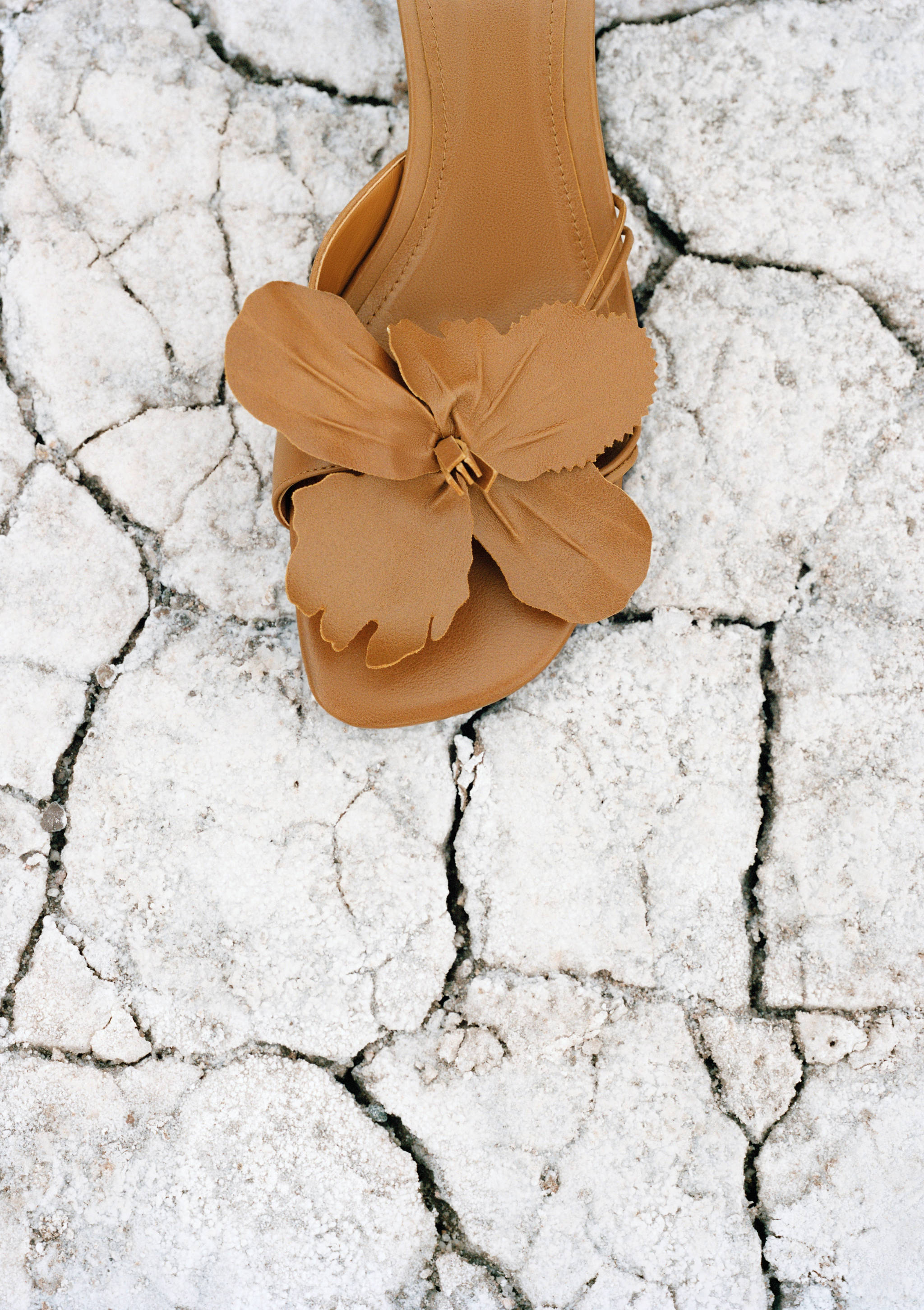 Leather heeled sandals with flower detail - Details of the article 5
