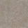 Colour Beige