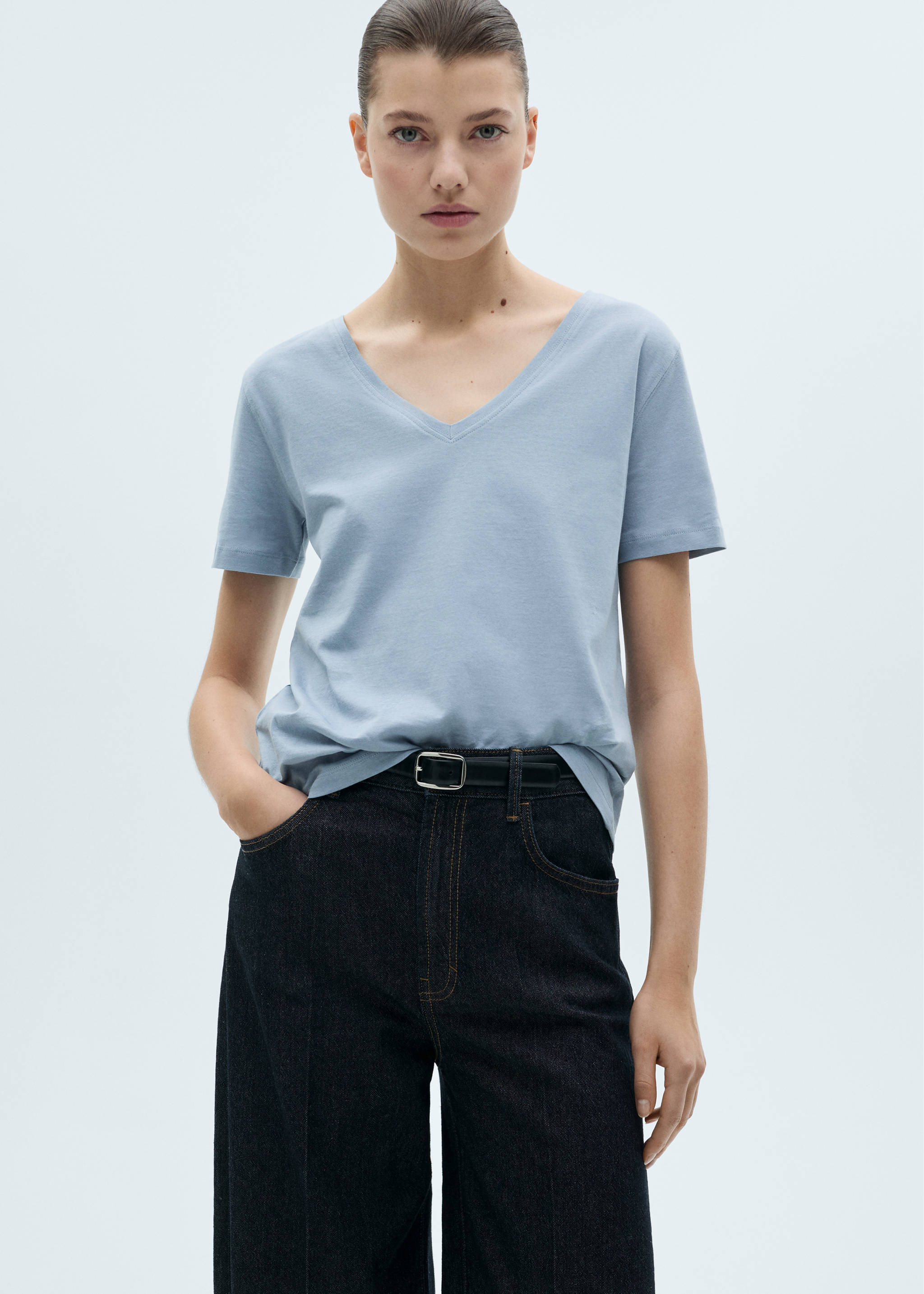 V-neck cotton T-shirt - Medium plane