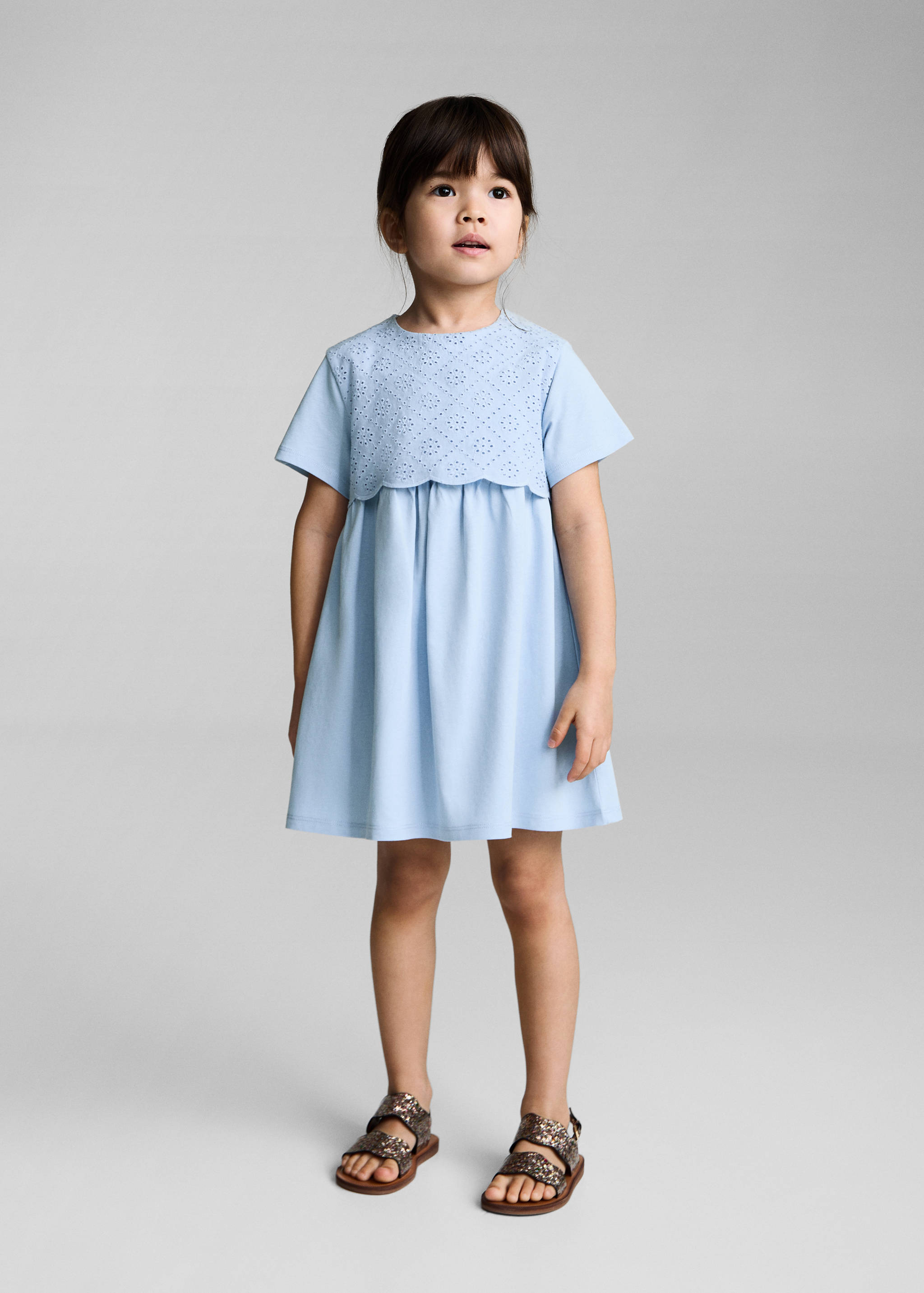 Embroidered cotton dress - General plane