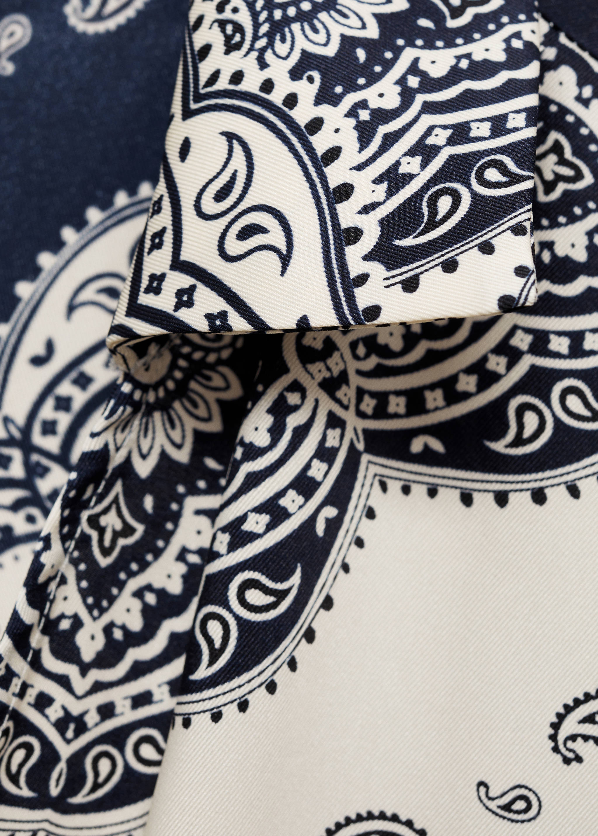 Paisley-print shirt dress - Details of the article 0