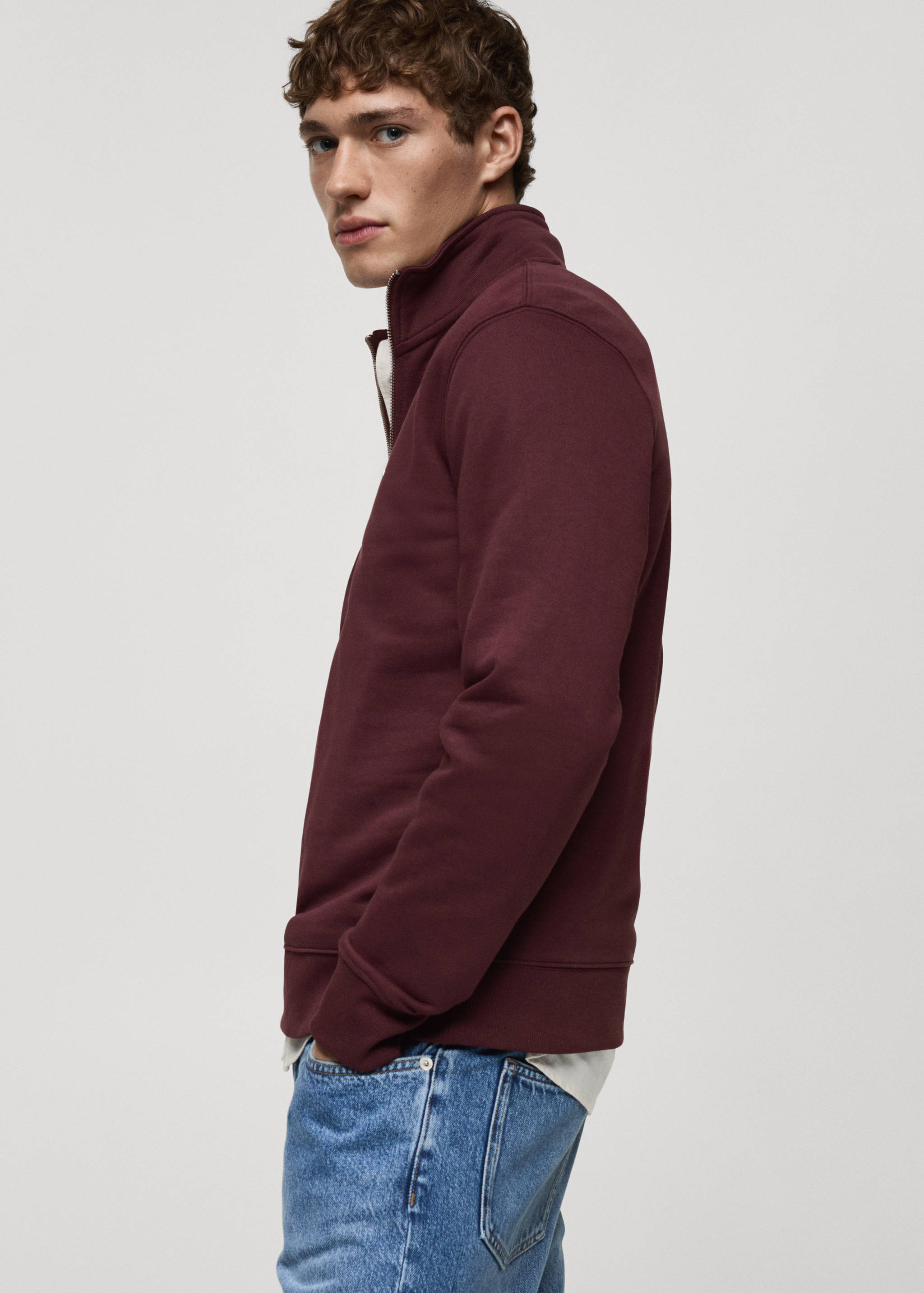 Regular-fit zip-neck sweatshirt - Details of the article 2