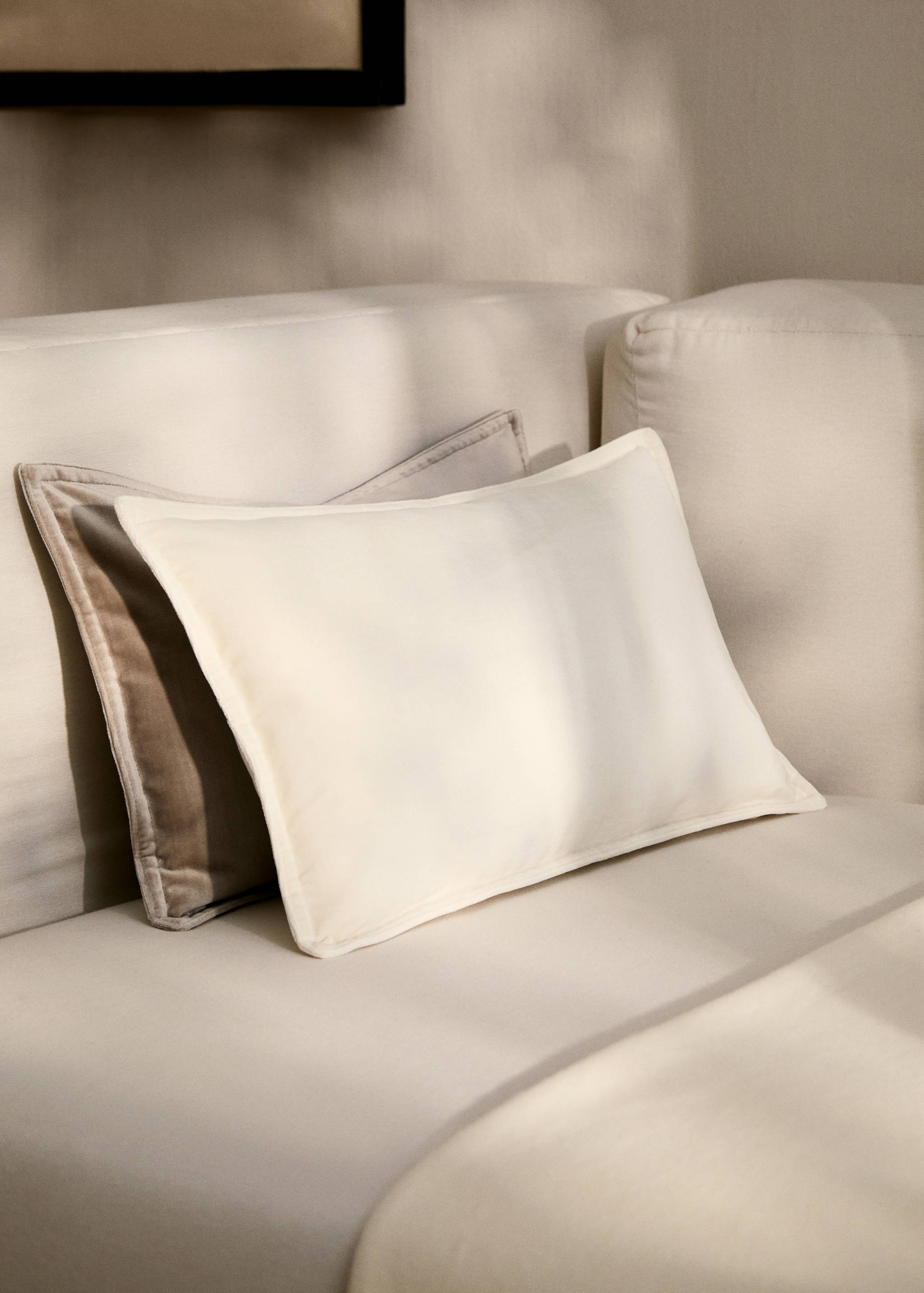 Velvet cushion cover 30x50 cm - General plane