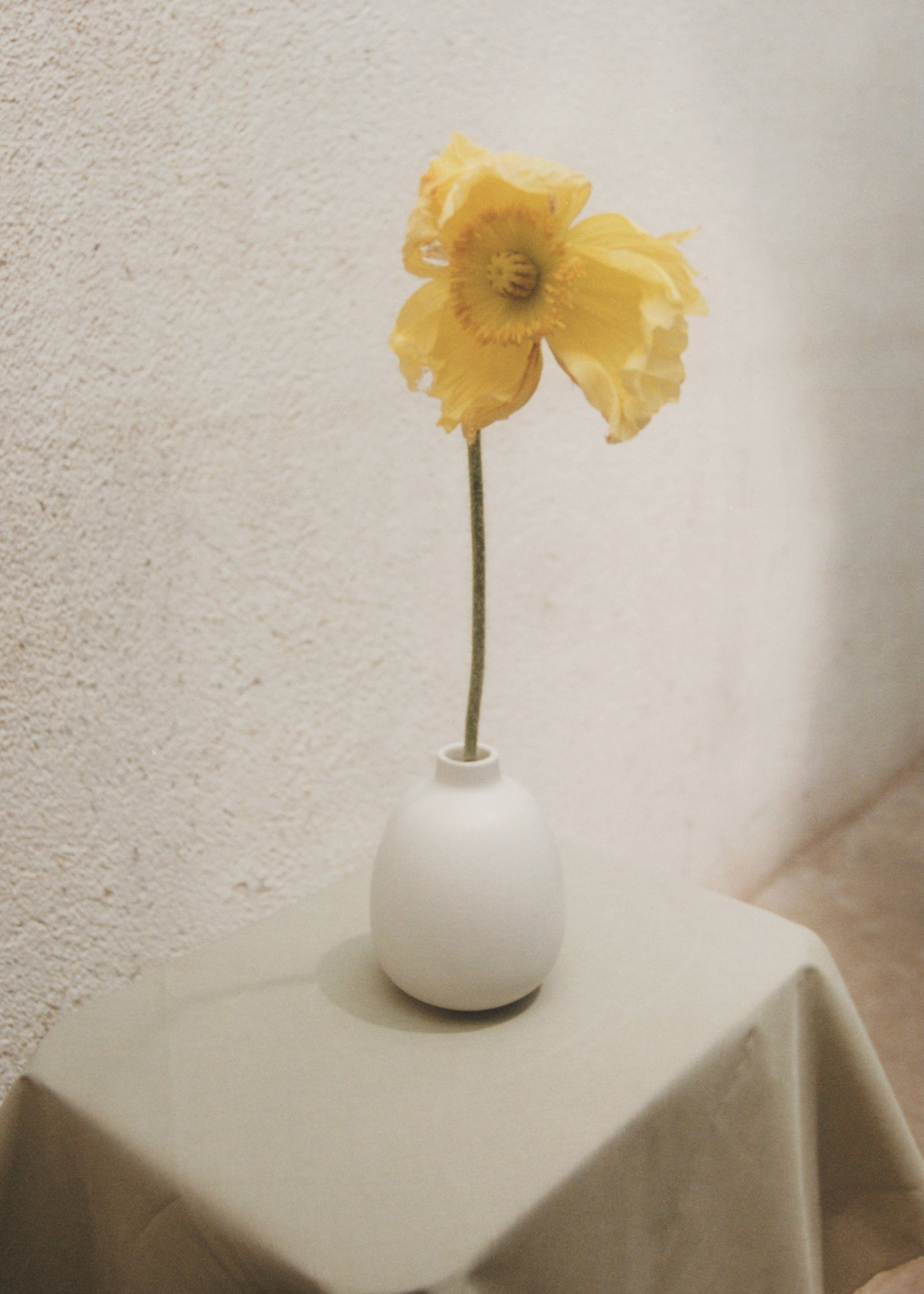 Small earthenware vase - Details of the article 7