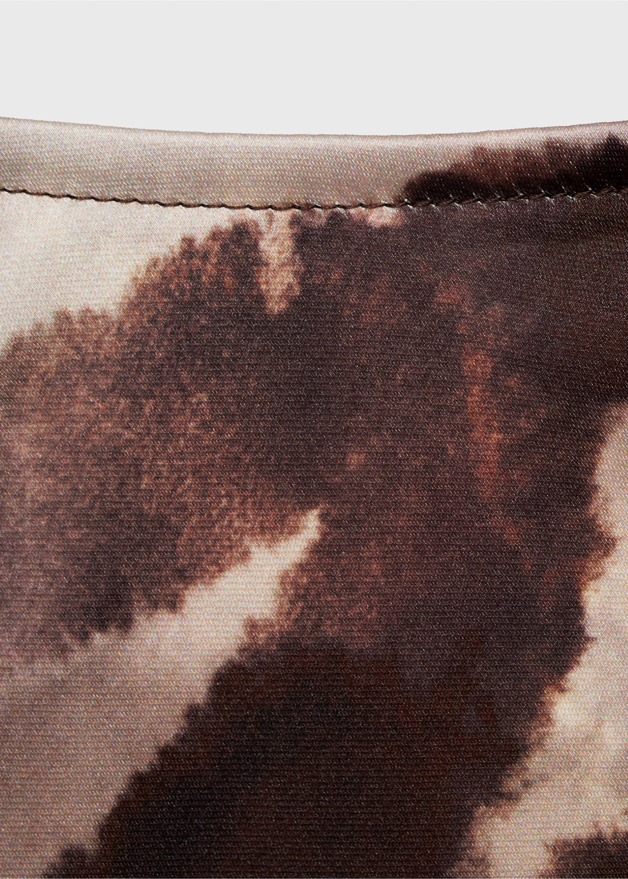 Jupe longue satinée zèbre - Détail de l'article 8, Marron. Ref: 87054093-00.