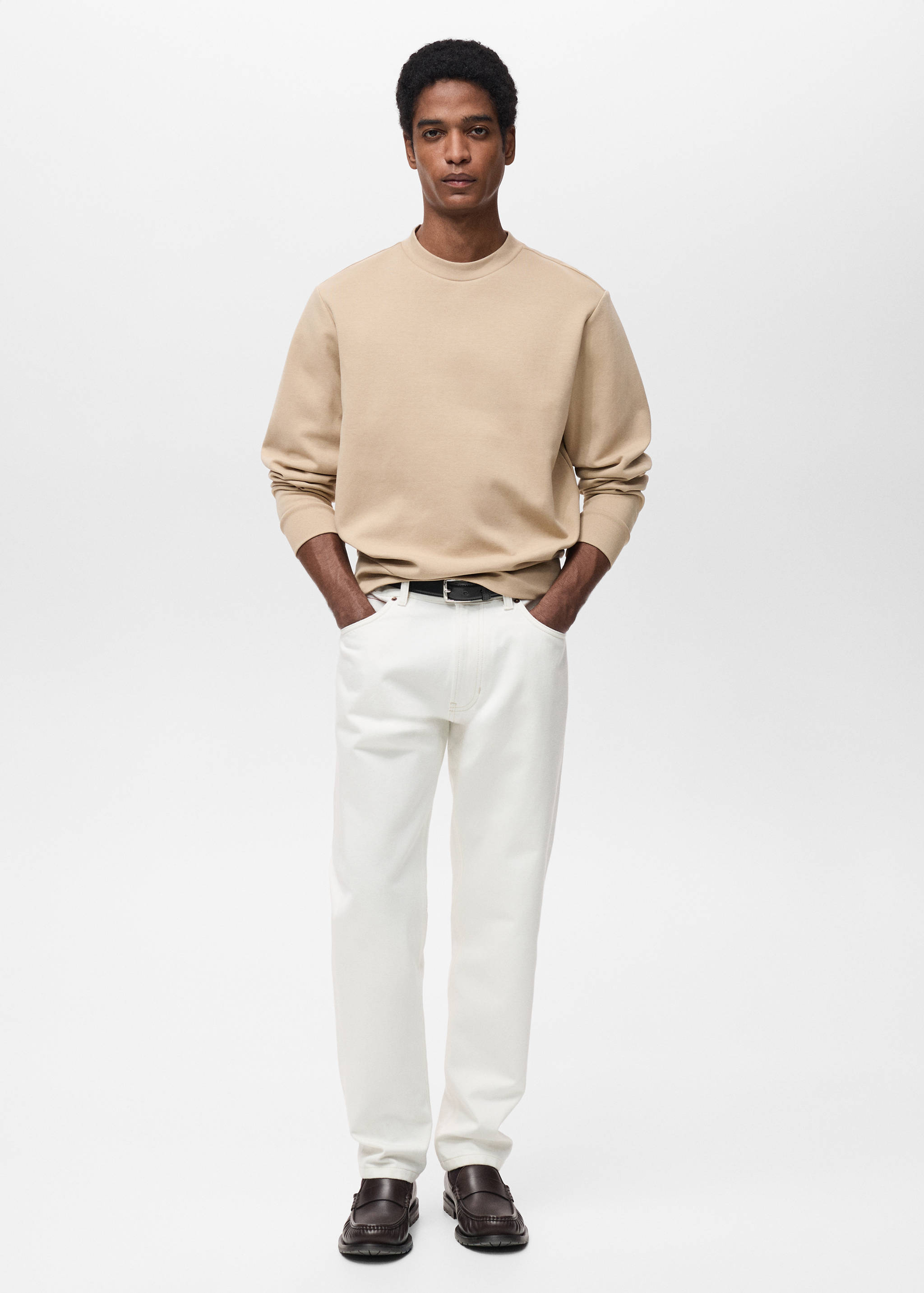 Regular-fit cotton sweatshirt - General plane