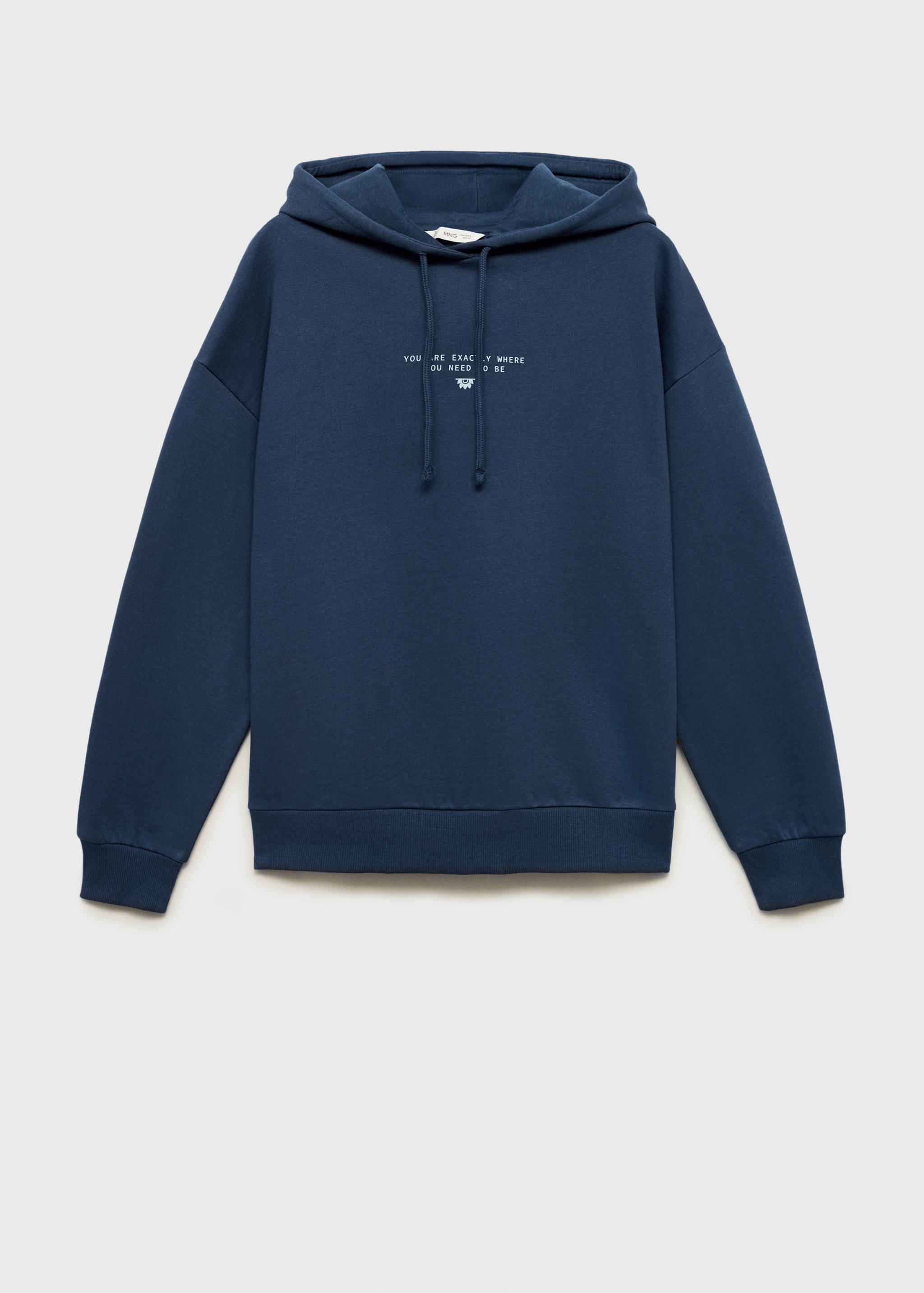 Hoodie cotton sweatshirt - Article without model