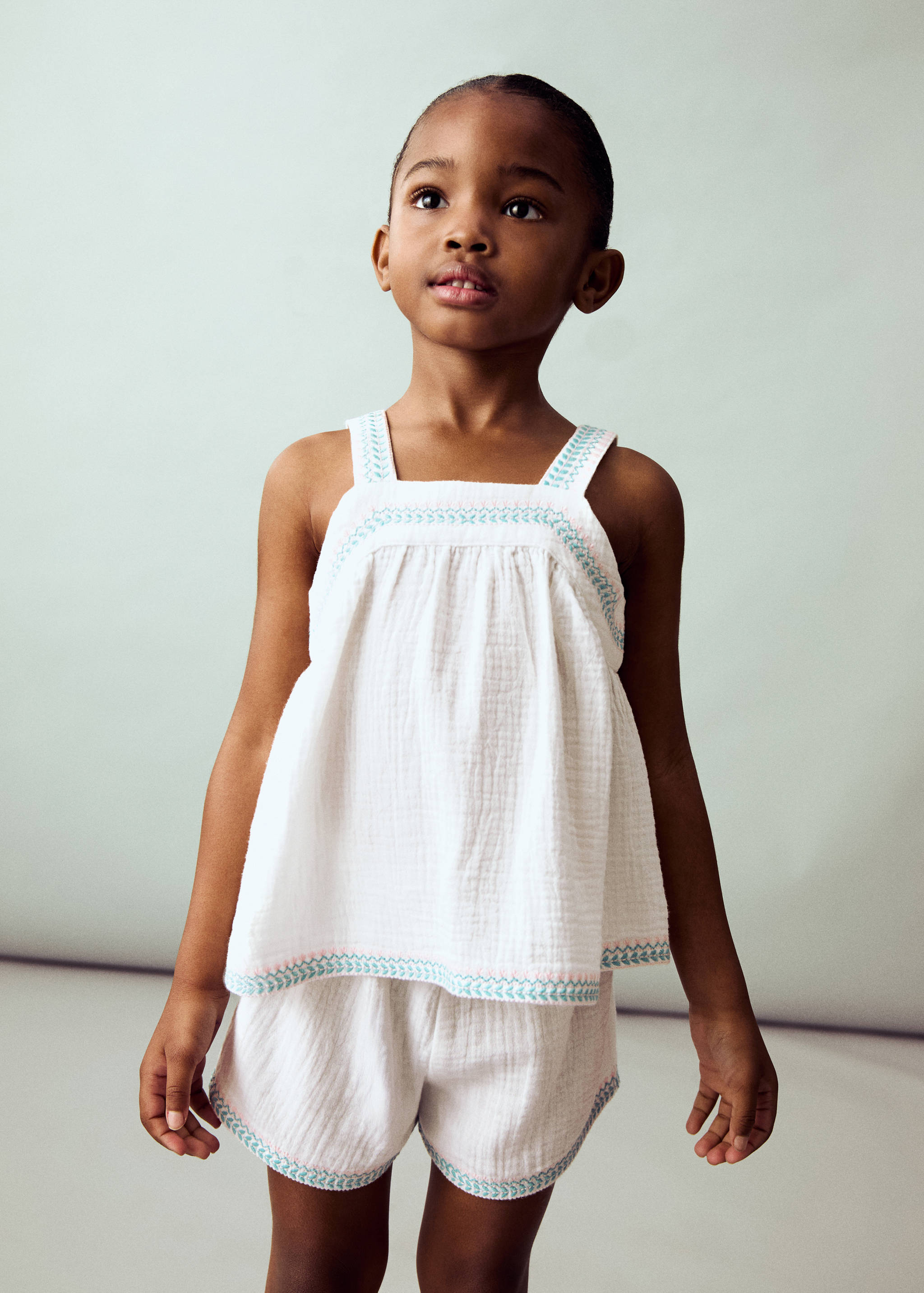 Bambula embroidered shorts - General plane