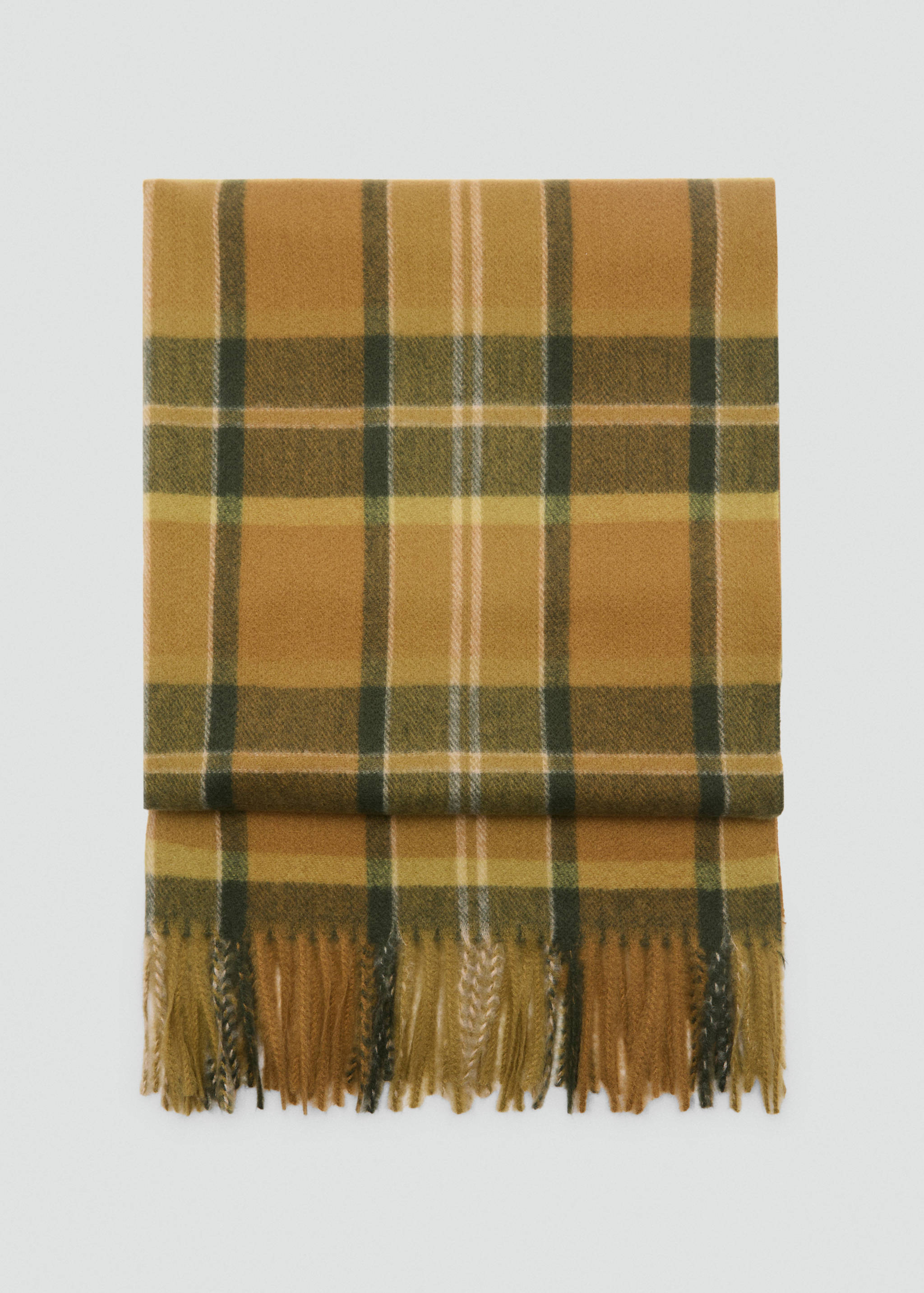 Check scarf with fringed ends - Article without model