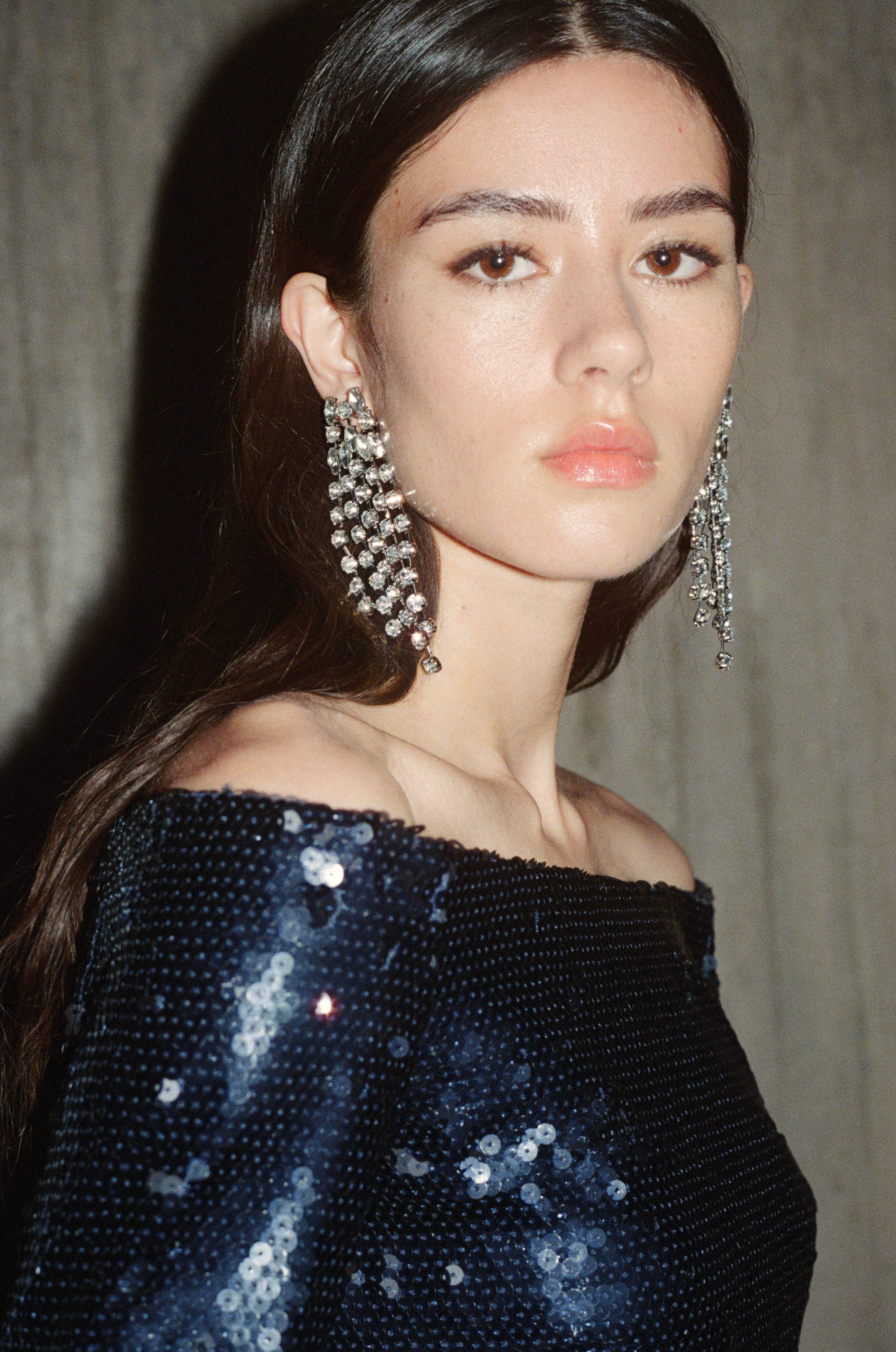 Cascade earrings with faceted crystals - General plane