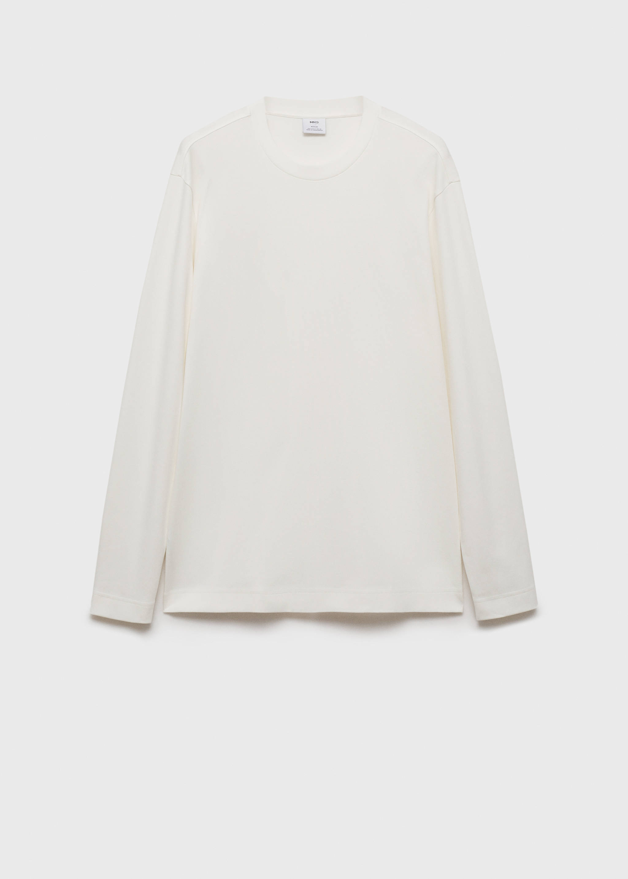 Long-sleeved regular-fit t-shirt - Article without model