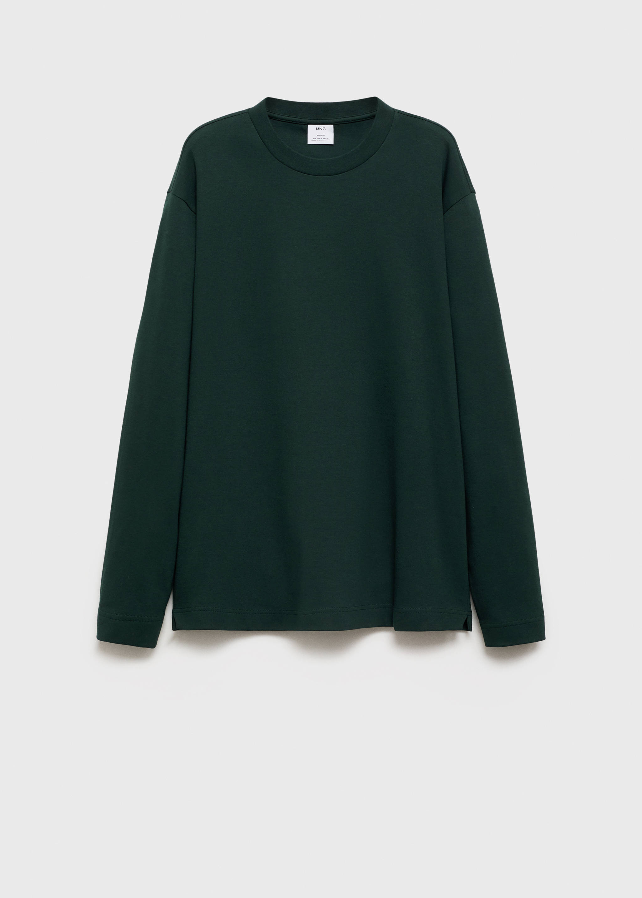 Long sleeve regular fit T-shirt - Article without model