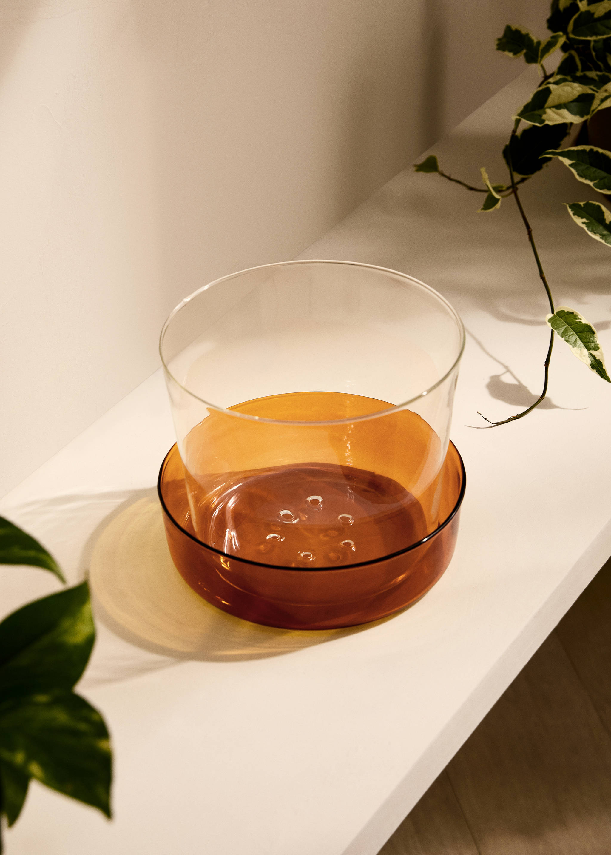 Two-tone borosilicate flower plot - General plane