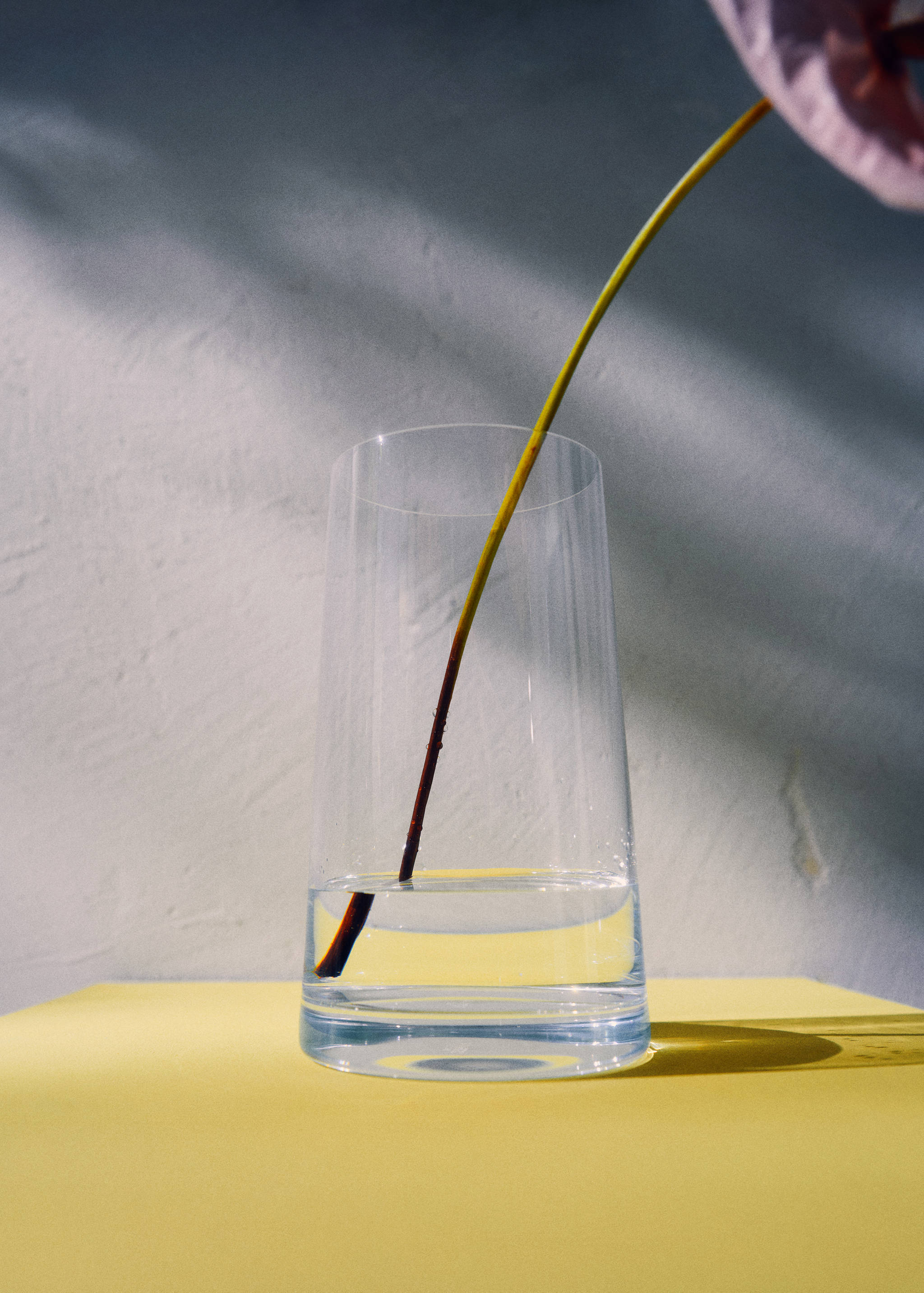 Jarrón cristalín cónico mediano - Detalle del artículo 6