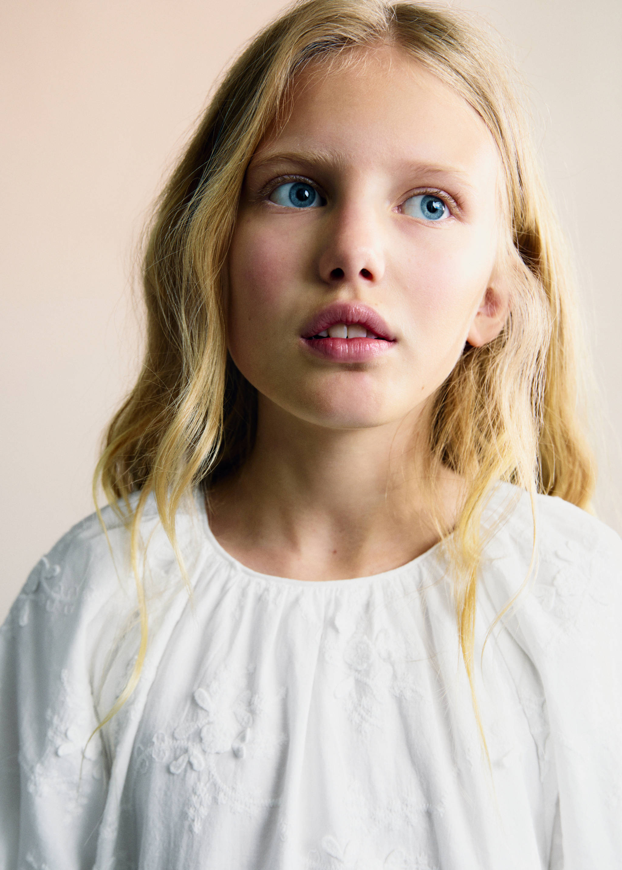 Embroidered detail dress - Details of the article 1