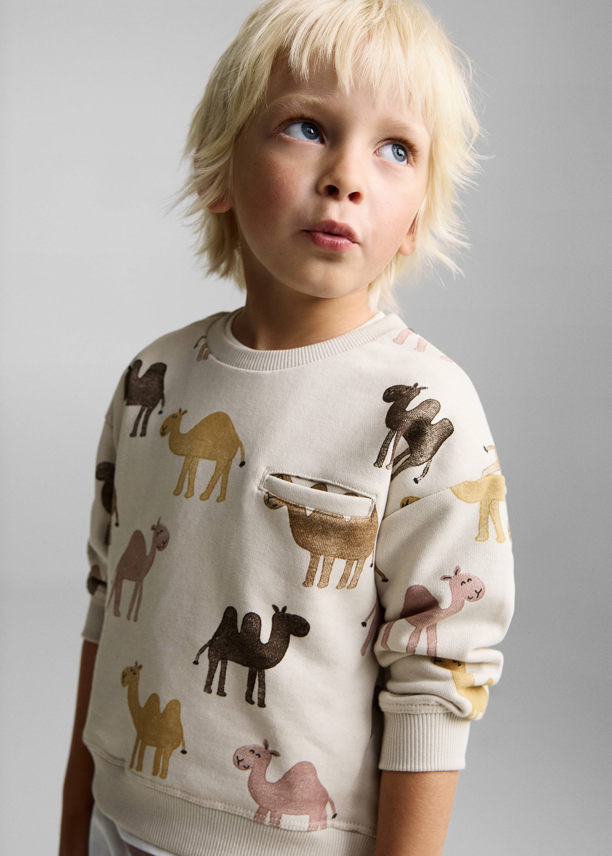 Printed cotton sweatshirt - Medium plane