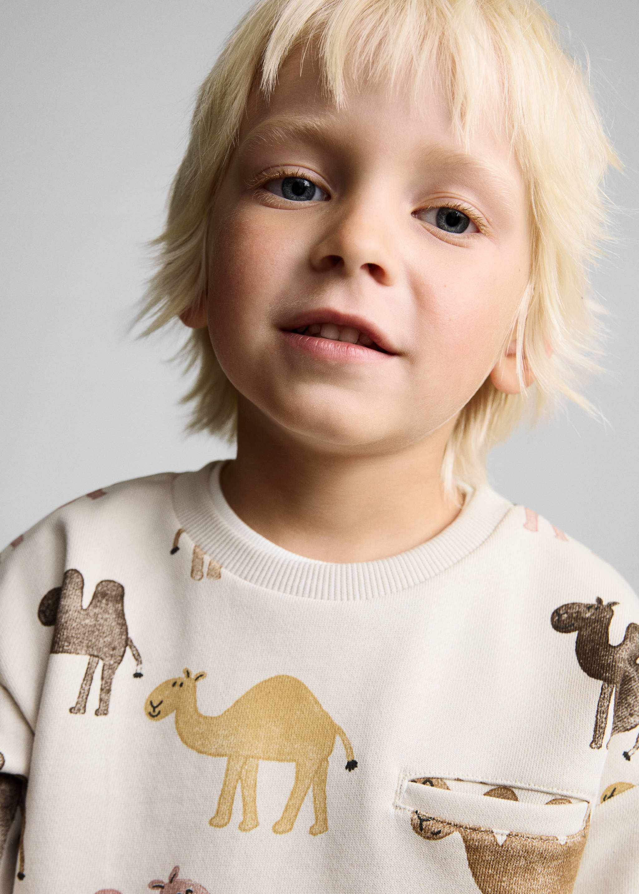 Printed cotton sweatshirt - Details of the article 1