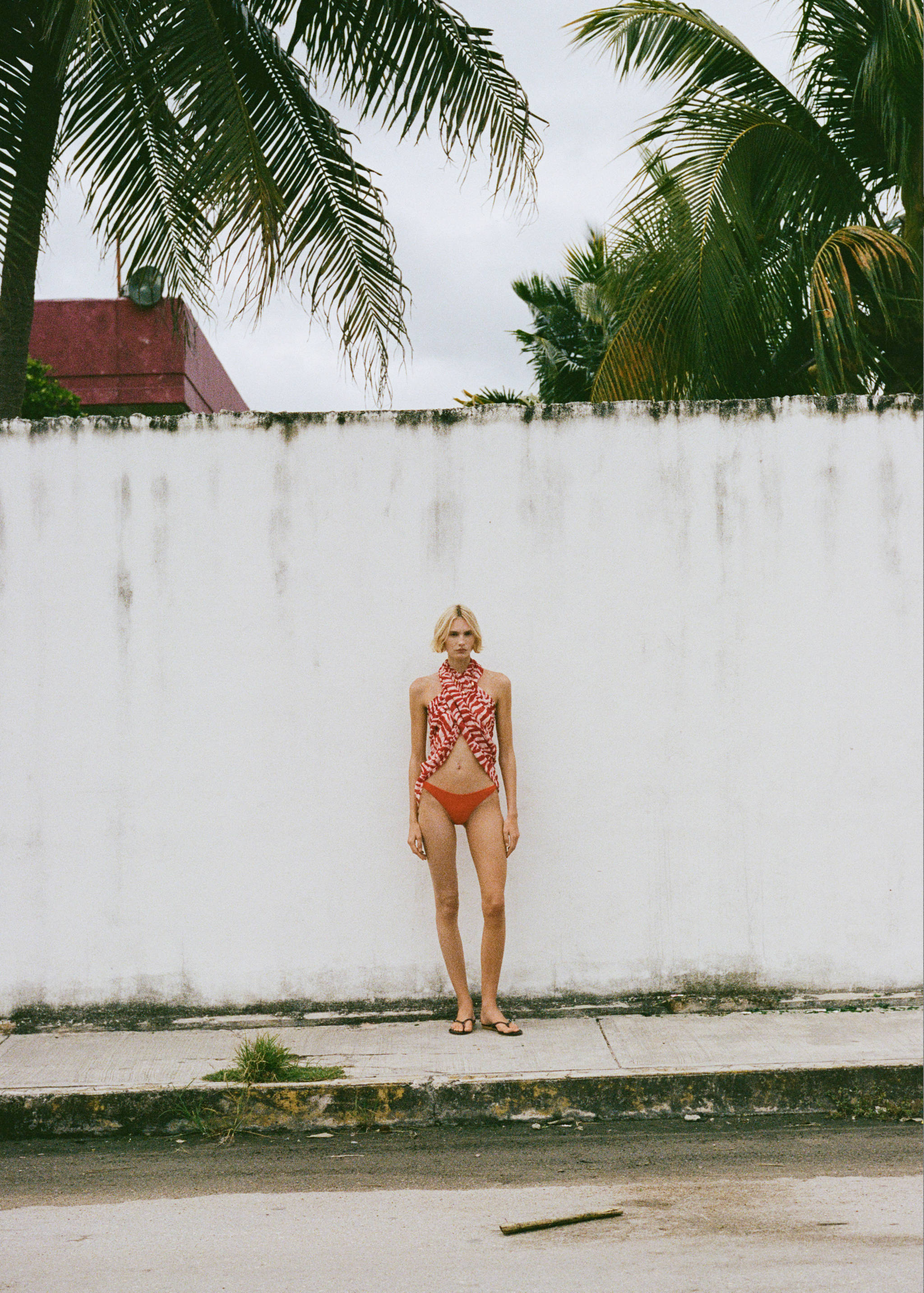 Cotton-blend zebra-print scarf - Details of the article 9