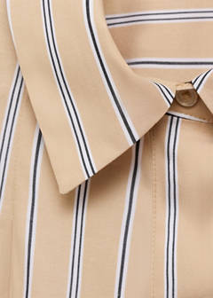 Short sleeve striped shirt — Brown 8