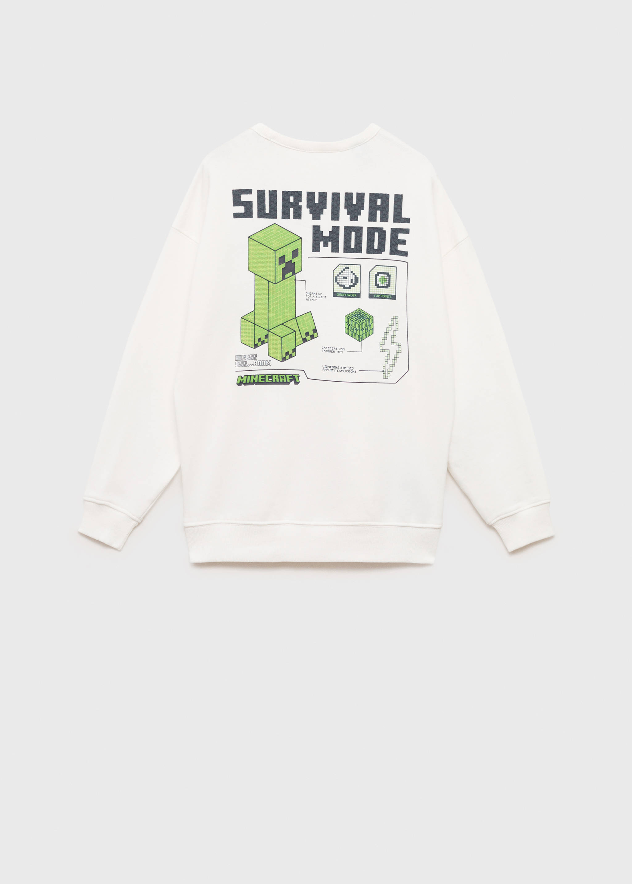 Minecraft sweatshirt - Reverse of the article