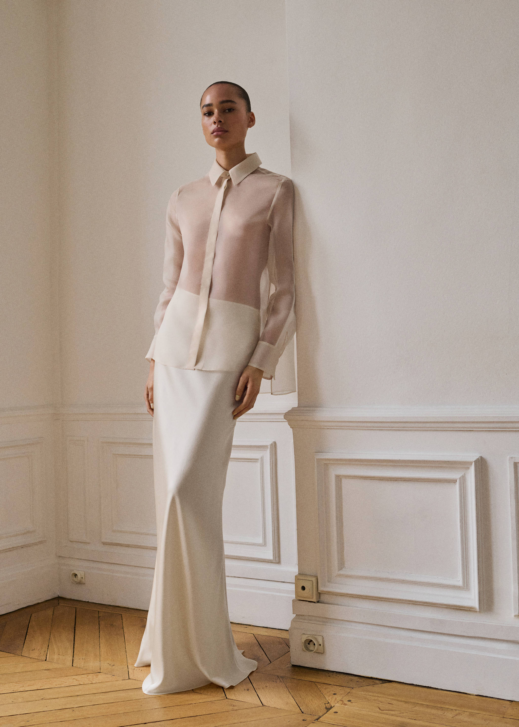 Semi-transparent silk organza shirt - General plane