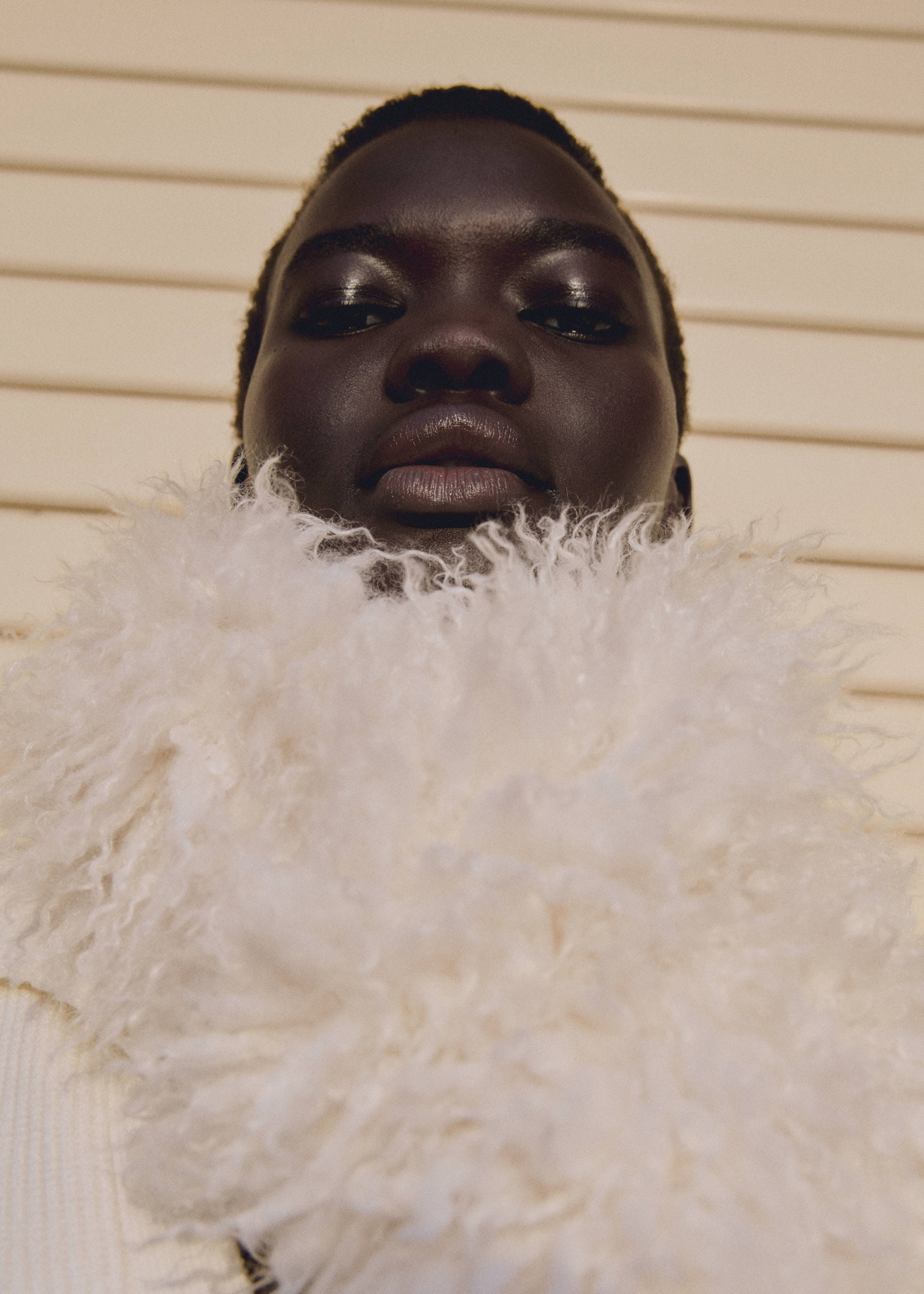 Faux-fur scarf - General plane