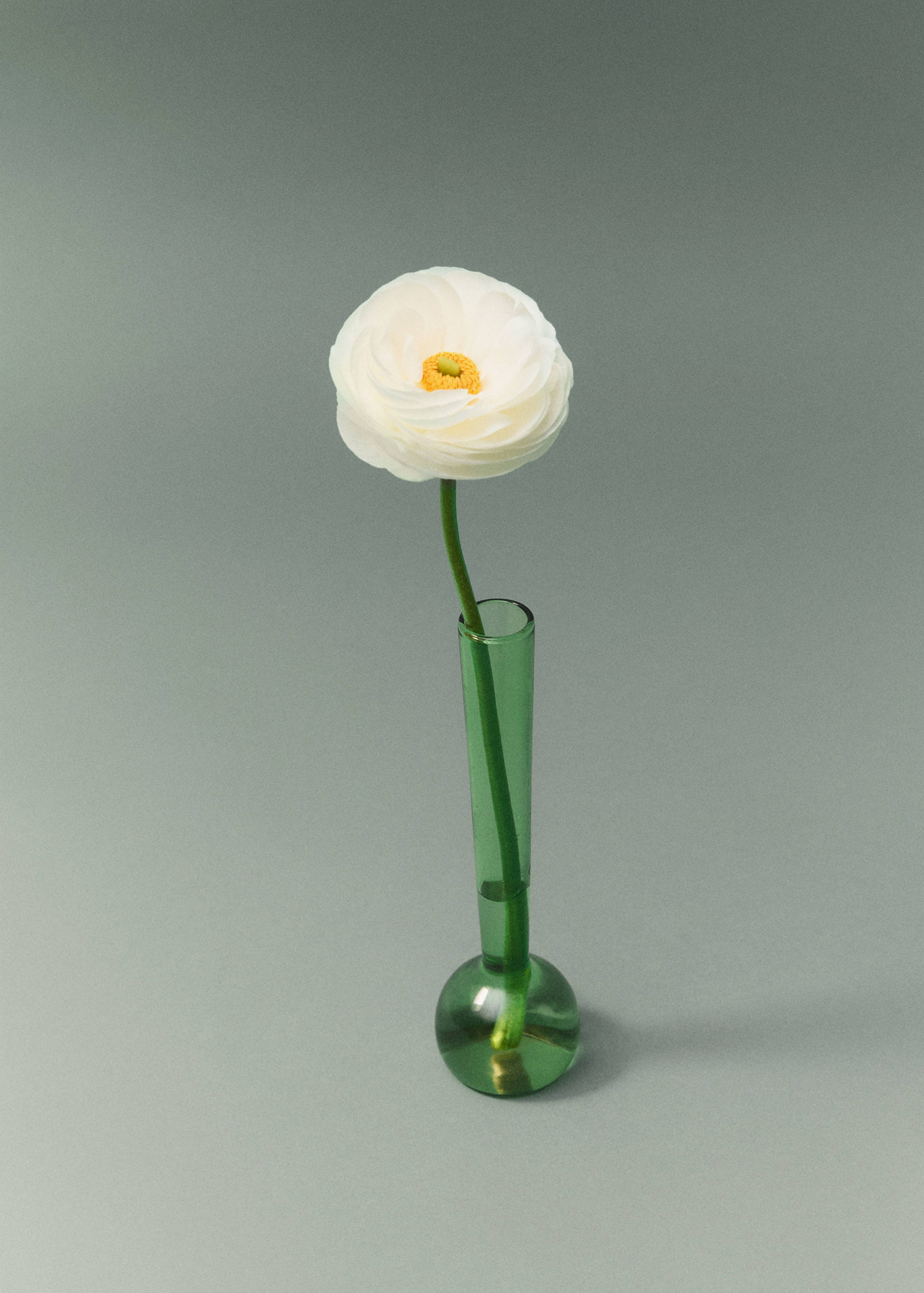 Wąski wazon ze szkła borokrzemowego - Plan ogólny