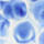 Colour Blue selected