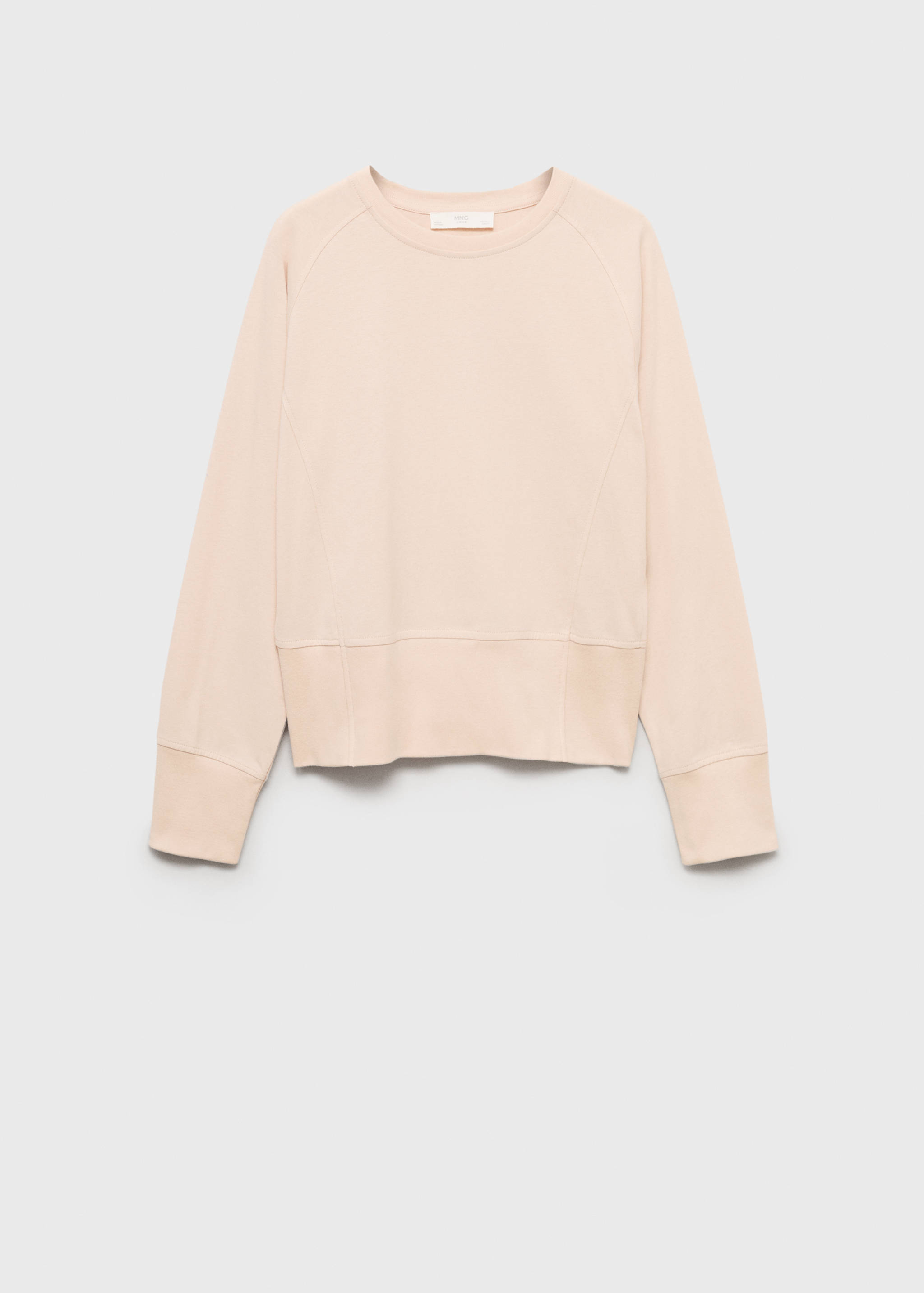 Cotton sweatshirt with soft finish - Article without model