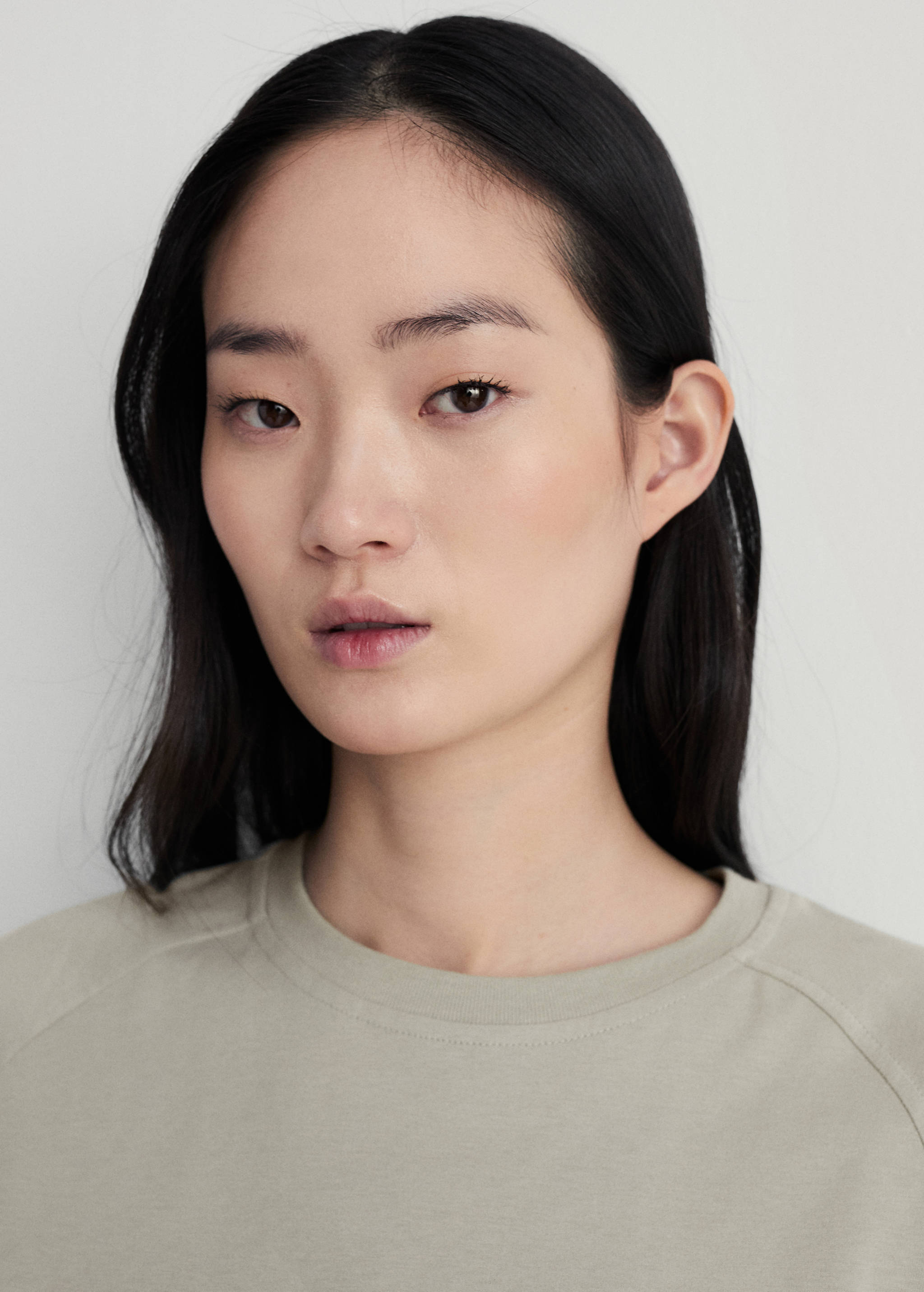 Cotton sweatshirt with soft finish - Medium plane