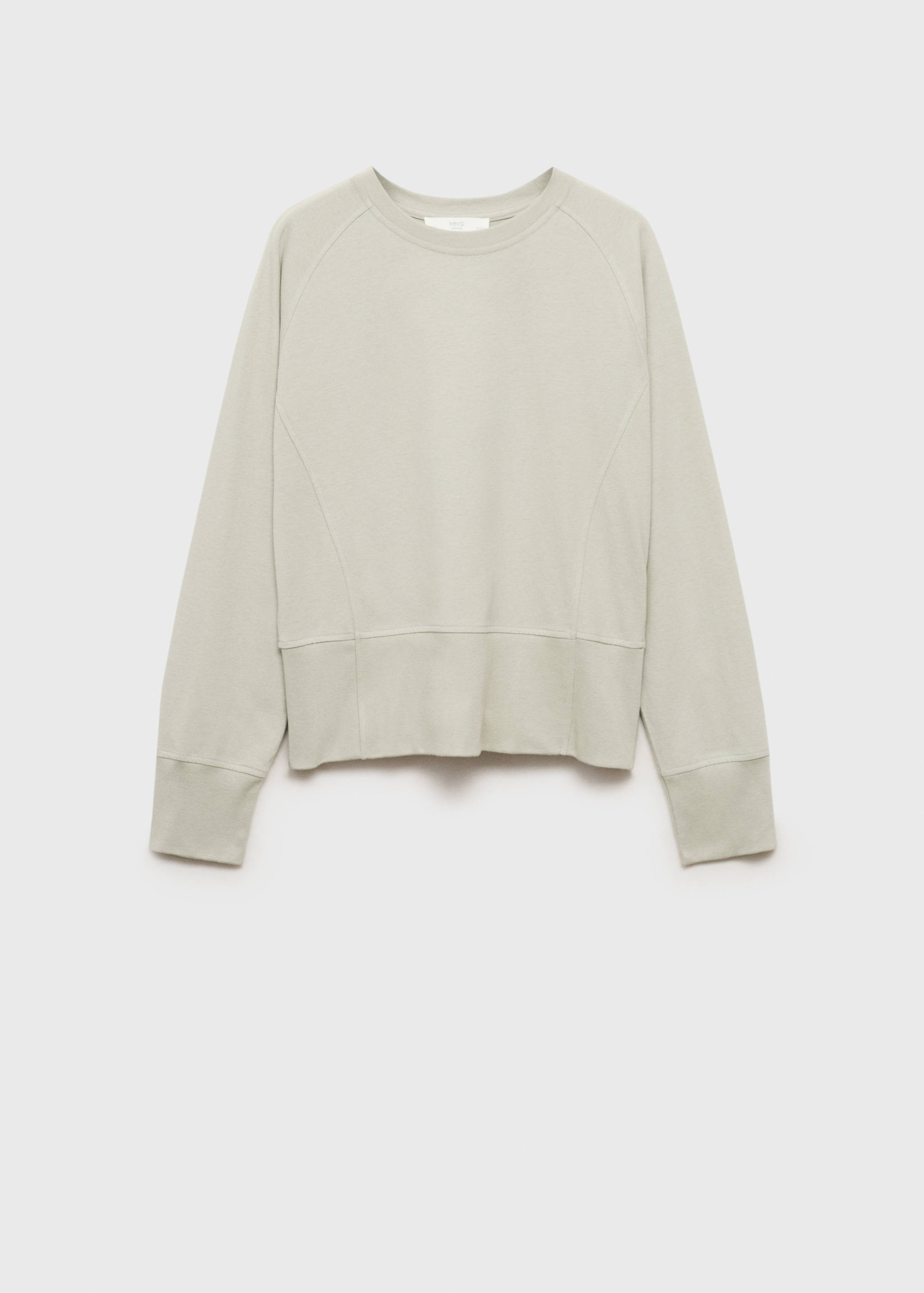 Cotton sweatshirt with soft finish - Article without model