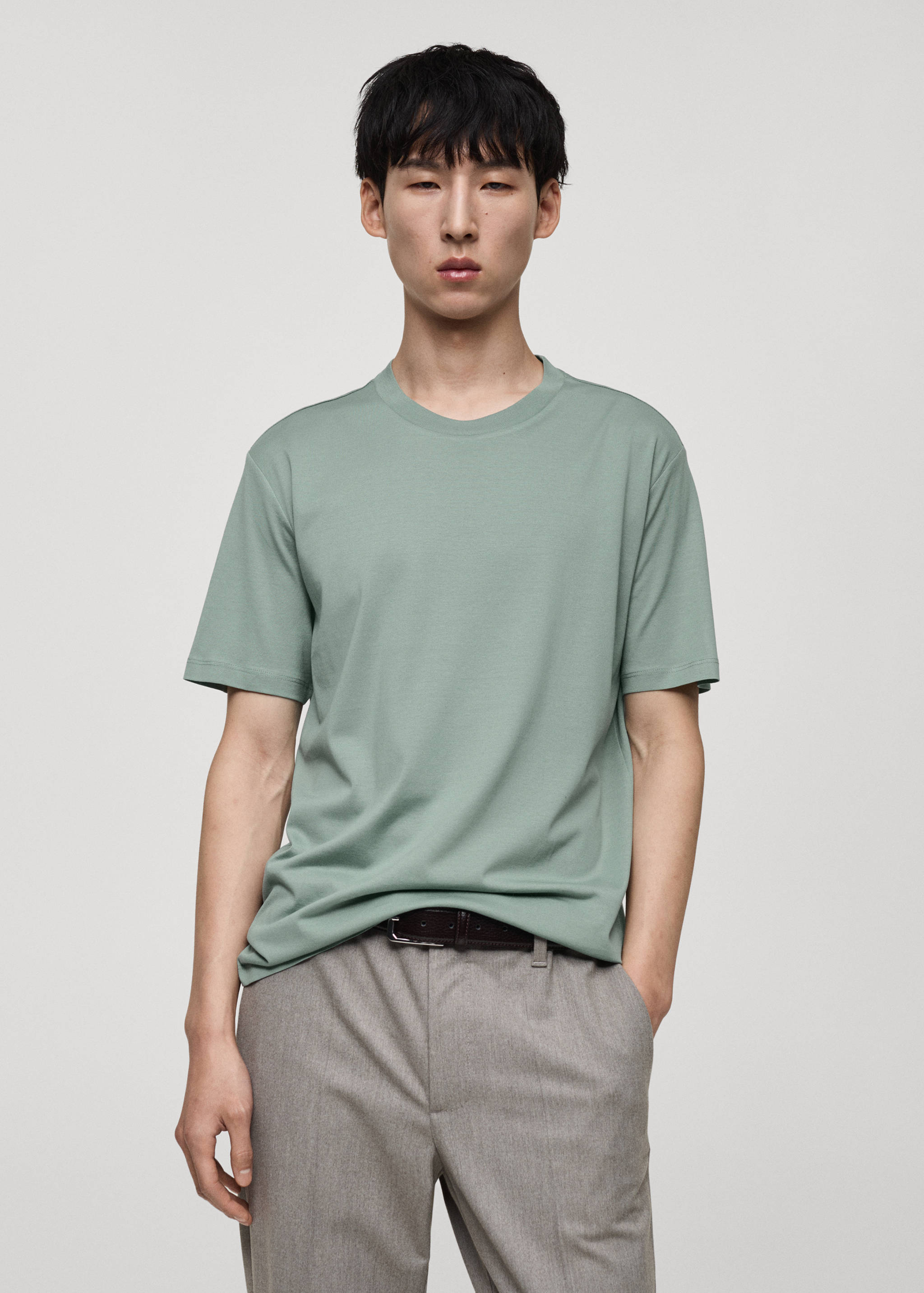 100% cotton T-shirt regular fit - Medium plane