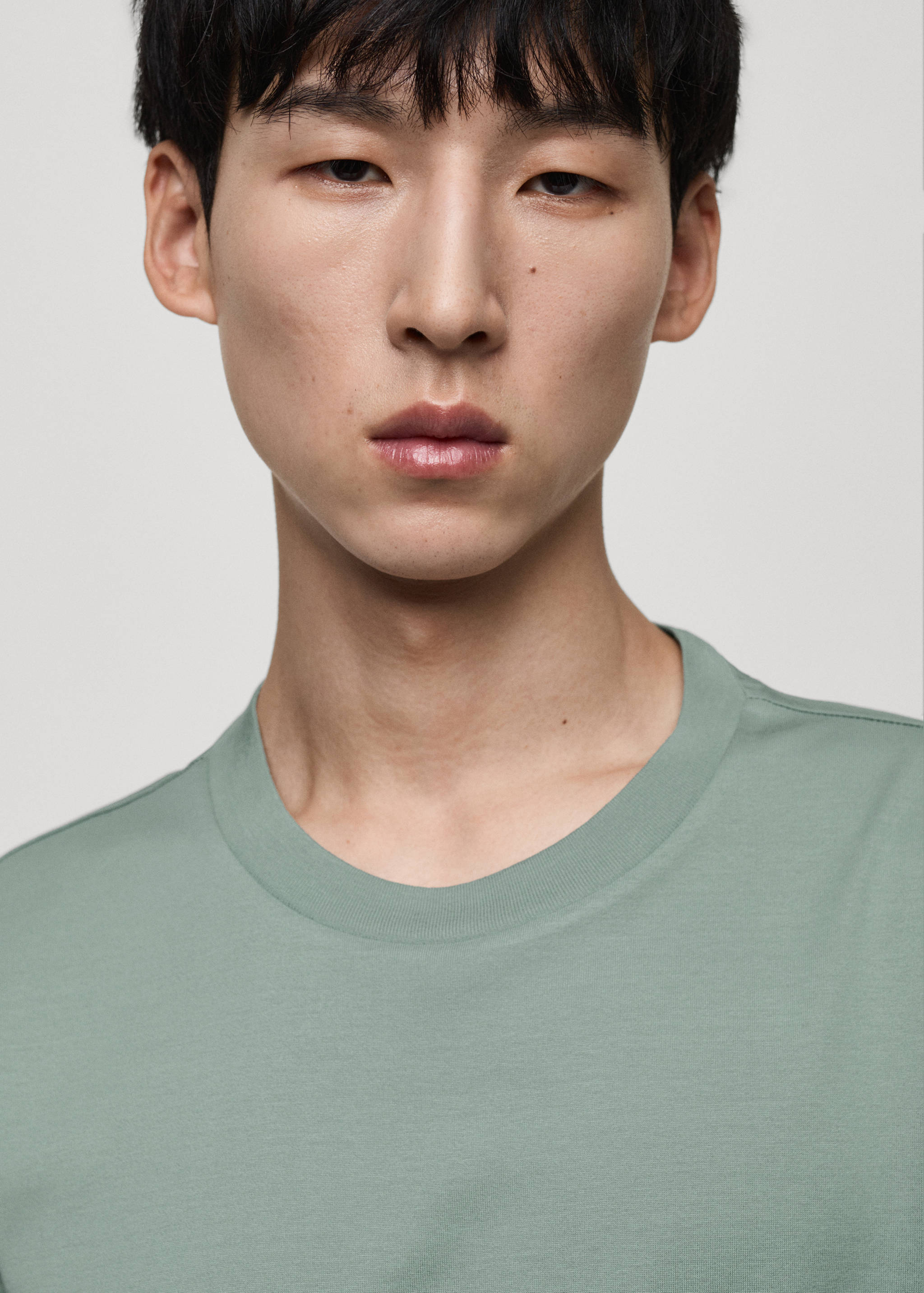 100% cotton T-shirt regular fit - Details of the article 1